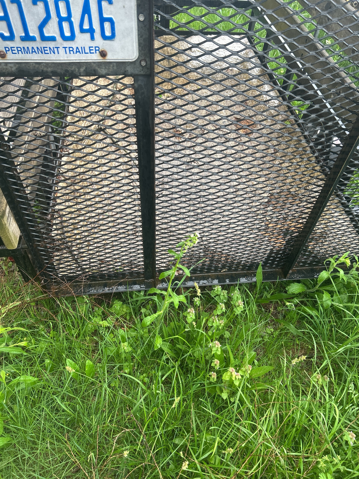 Lot image 10