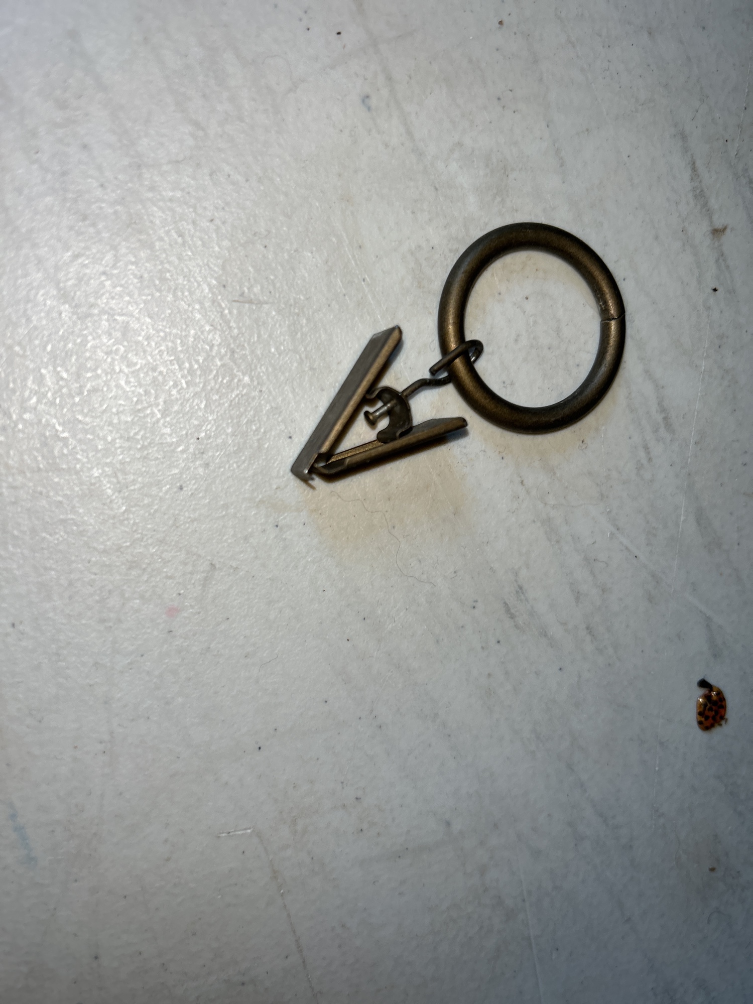 Lot image 6