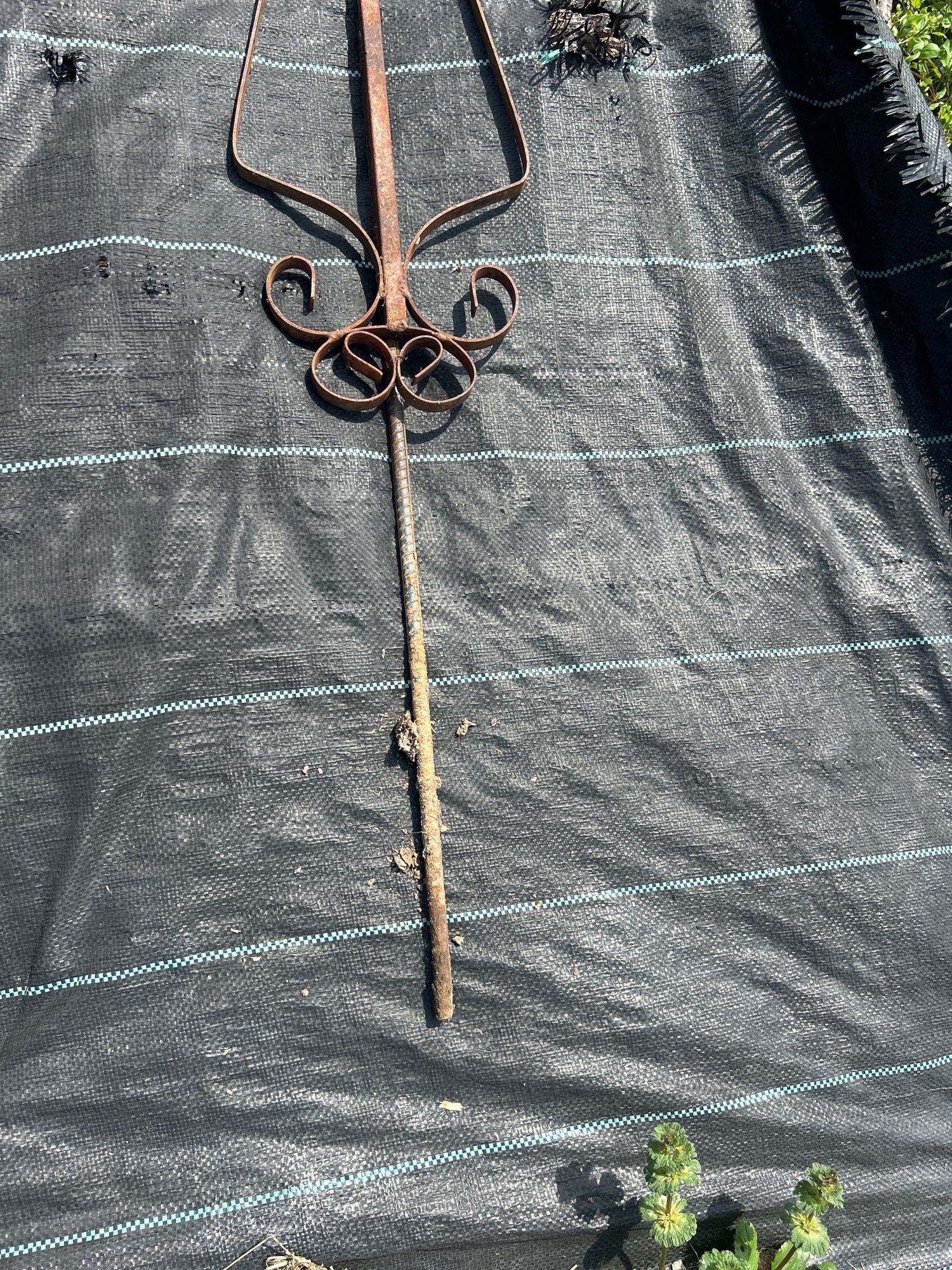 Lot image 6