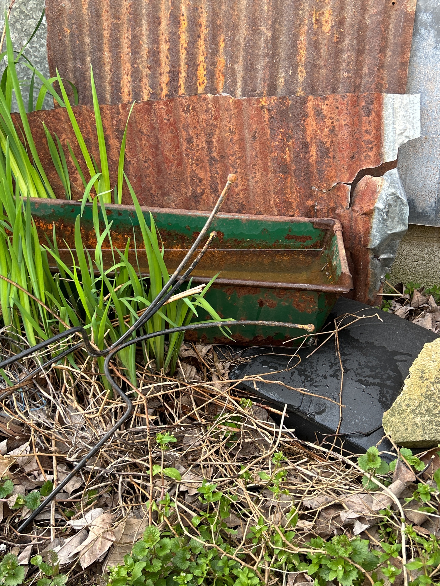 Lot image 5