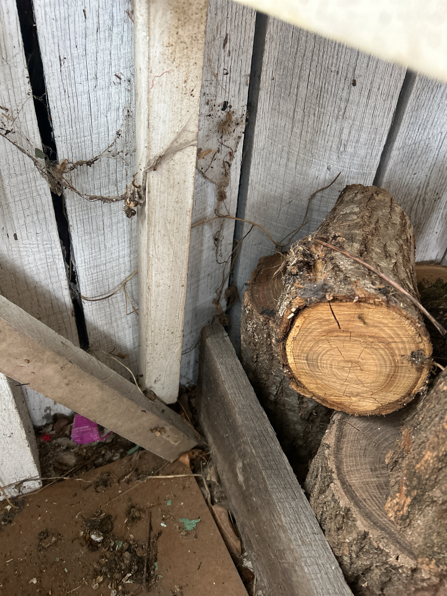 Lot image 15