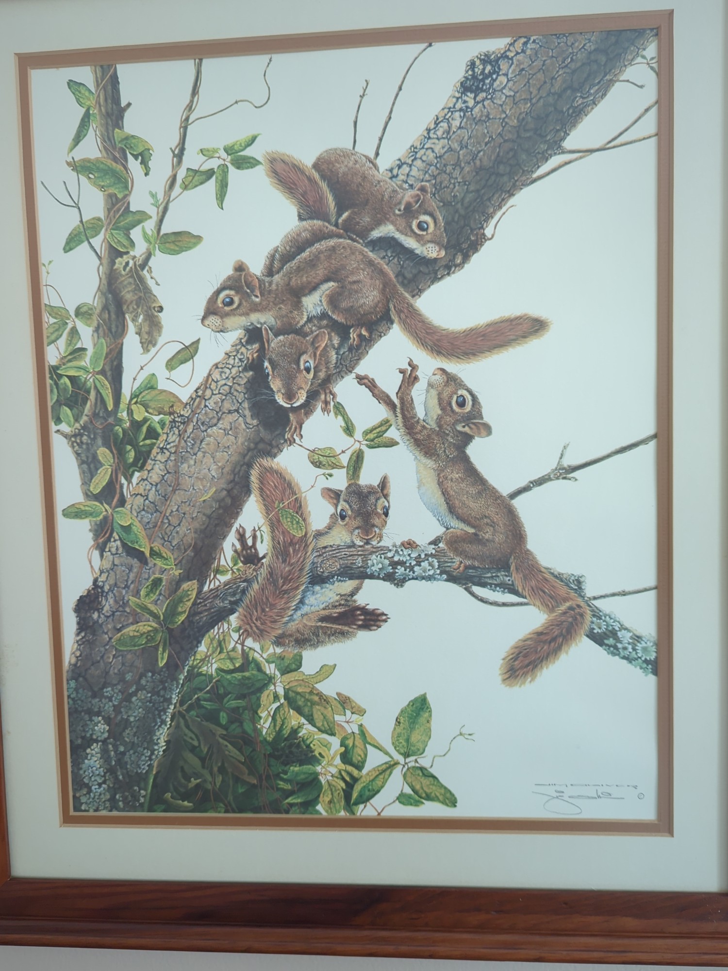 Lot image 6