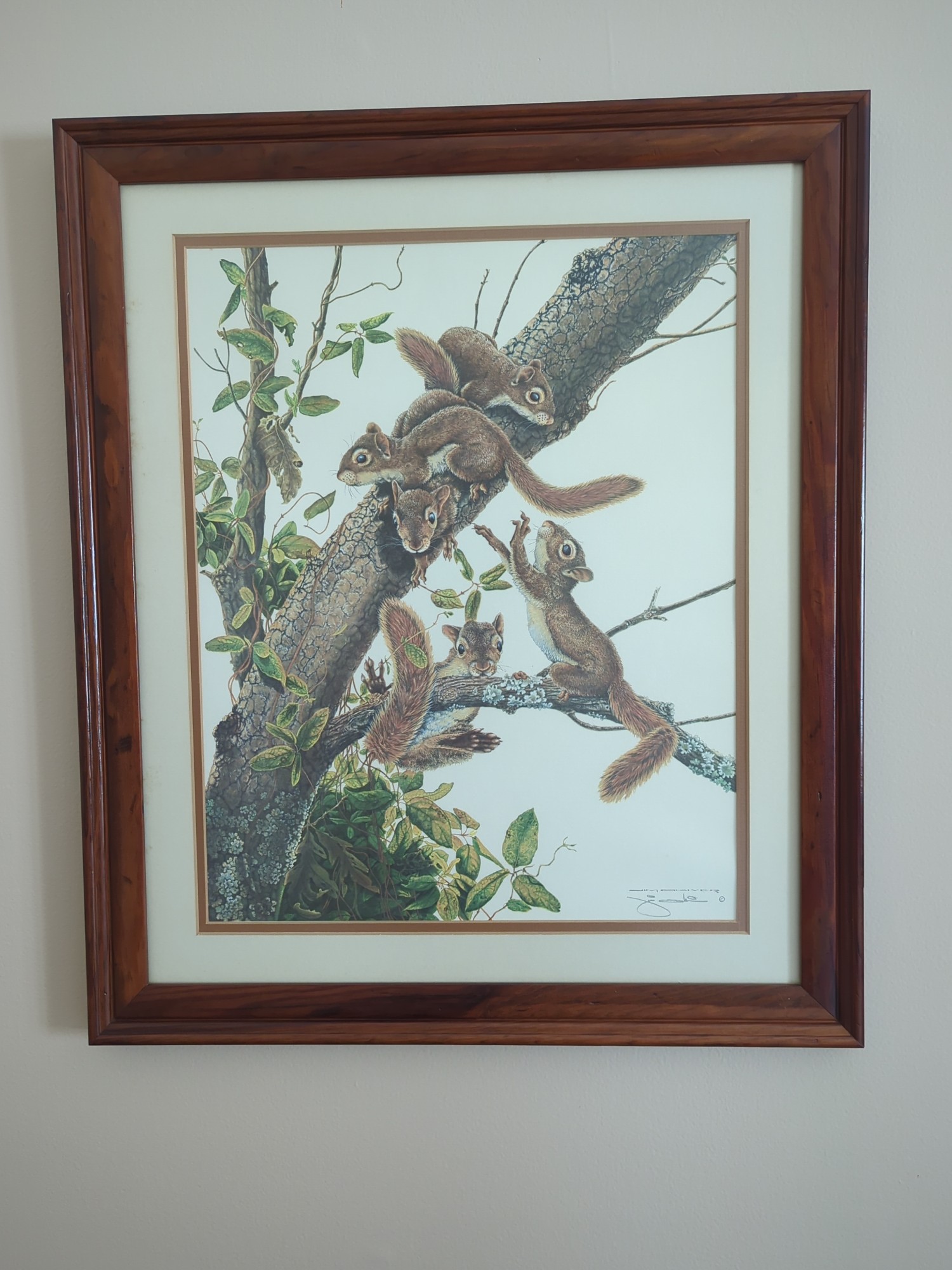 Lot image 1