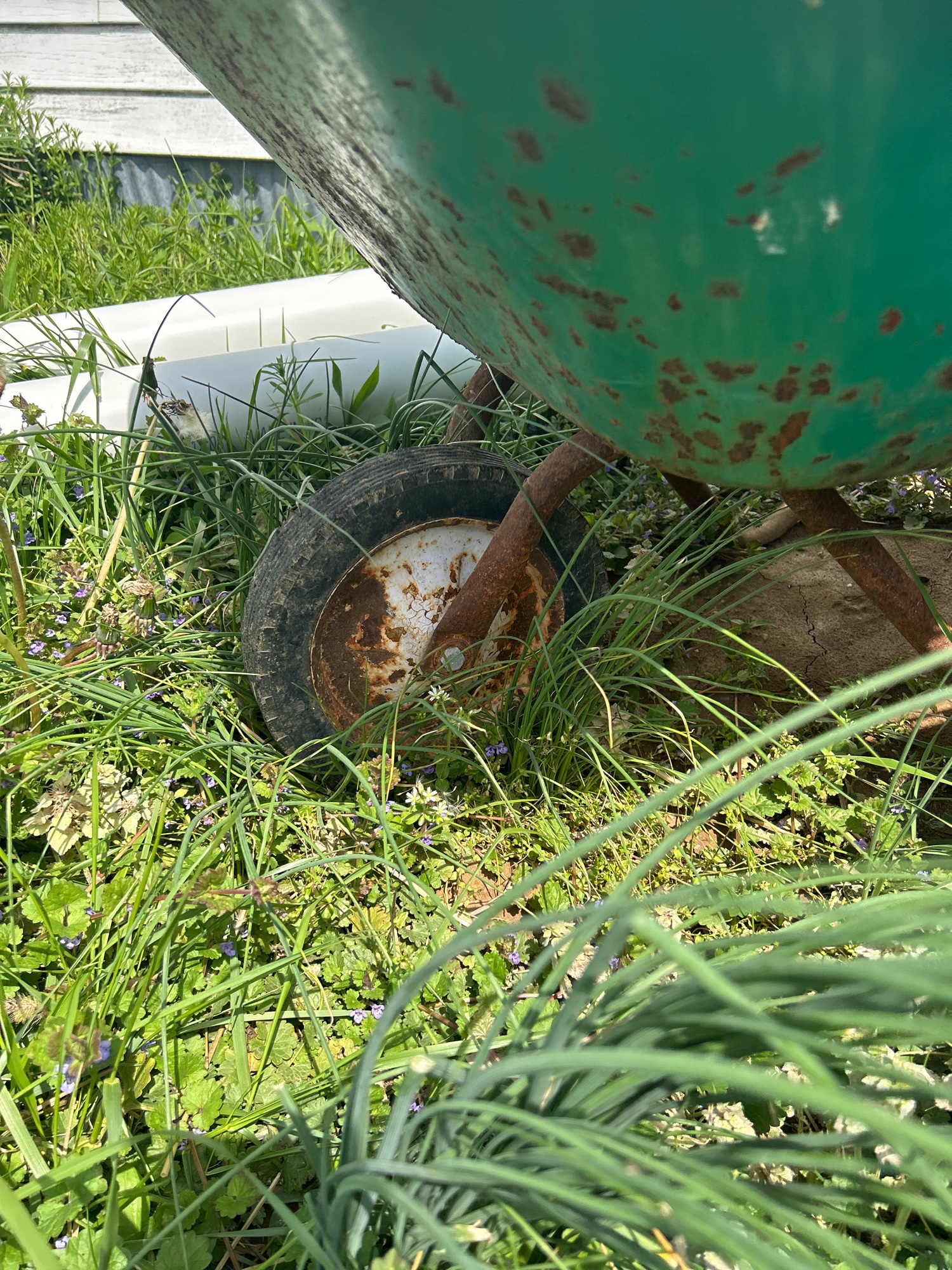 Lot image 6