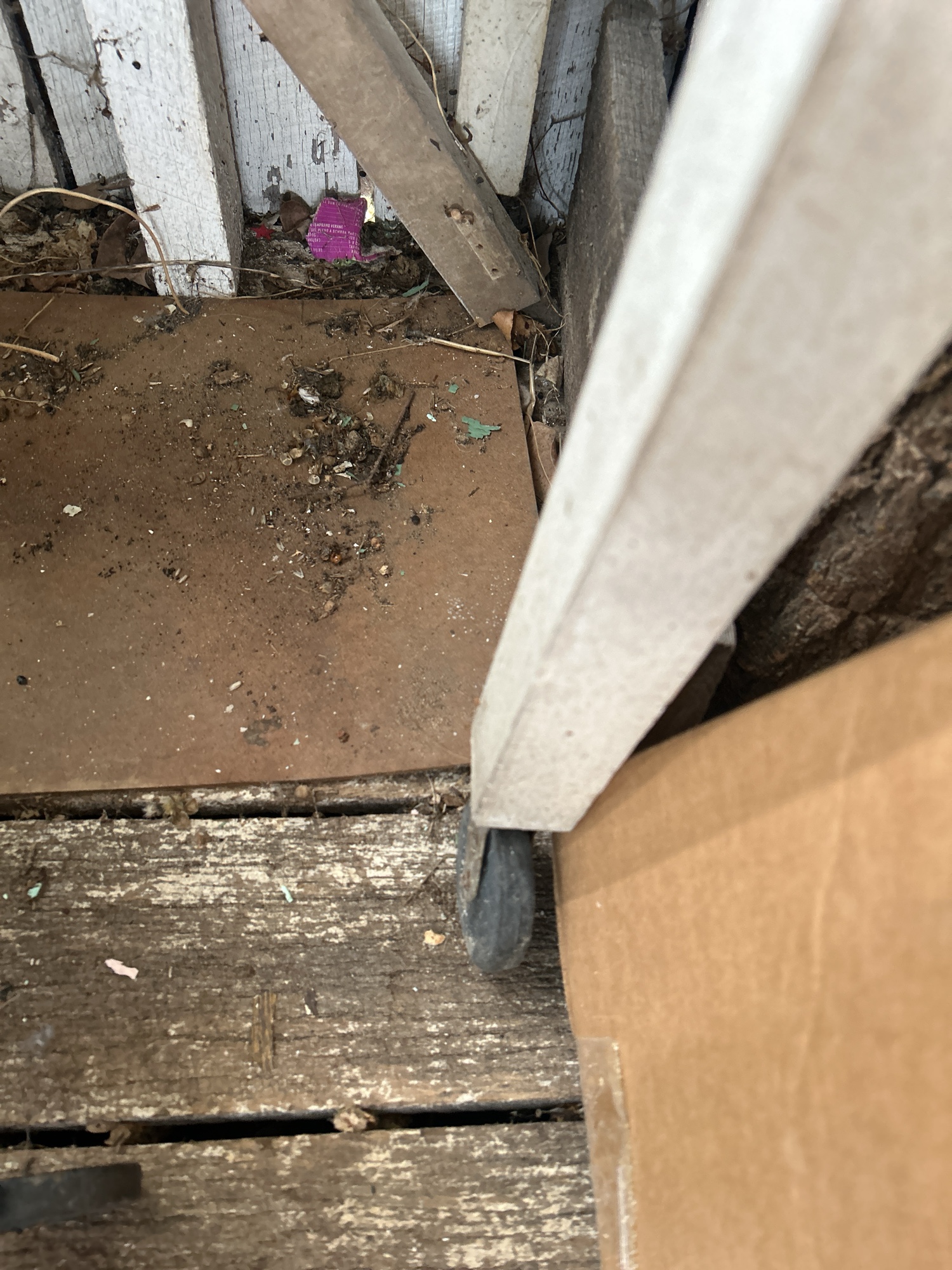 Lot image 14