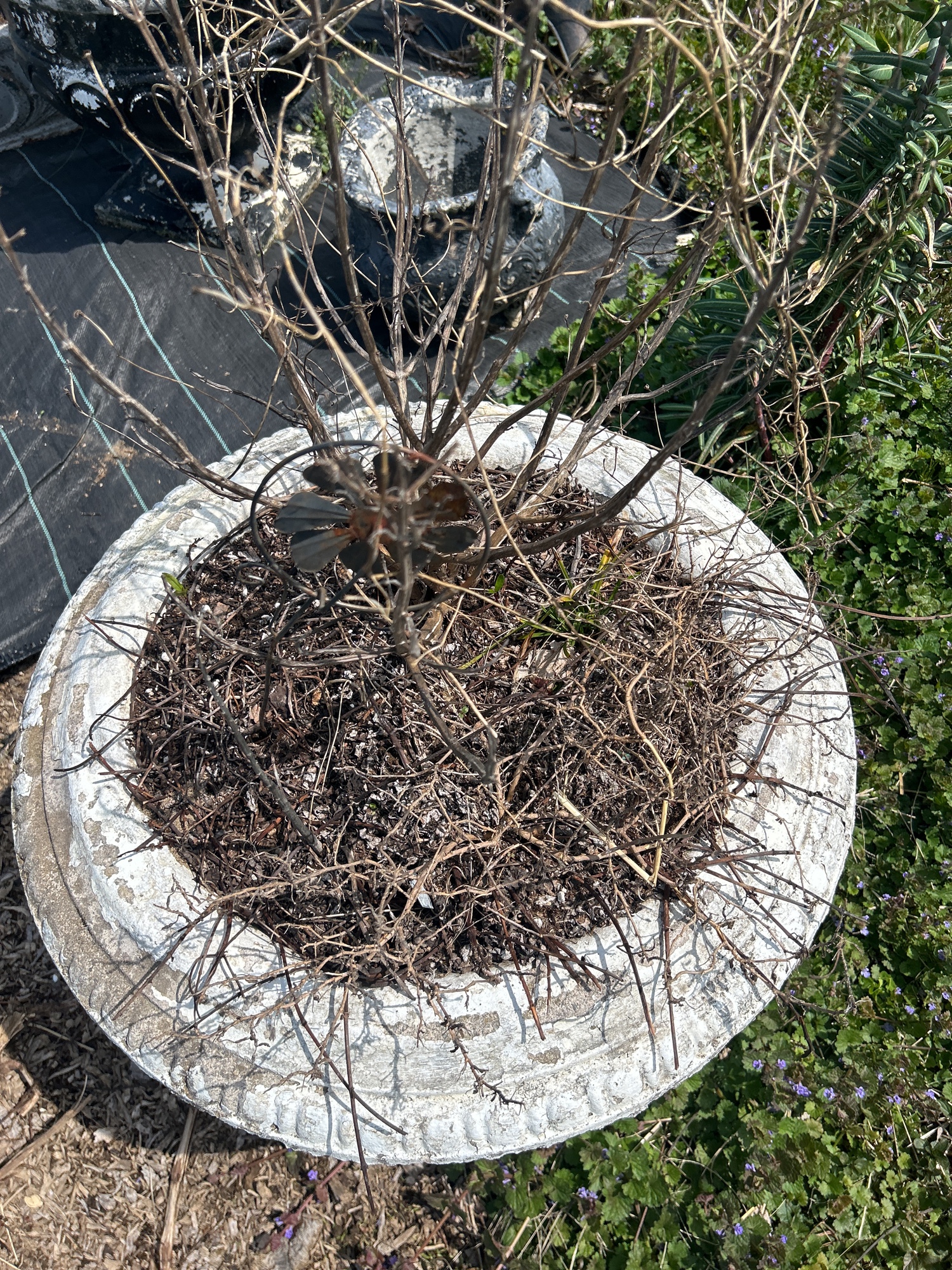 Lot image 4