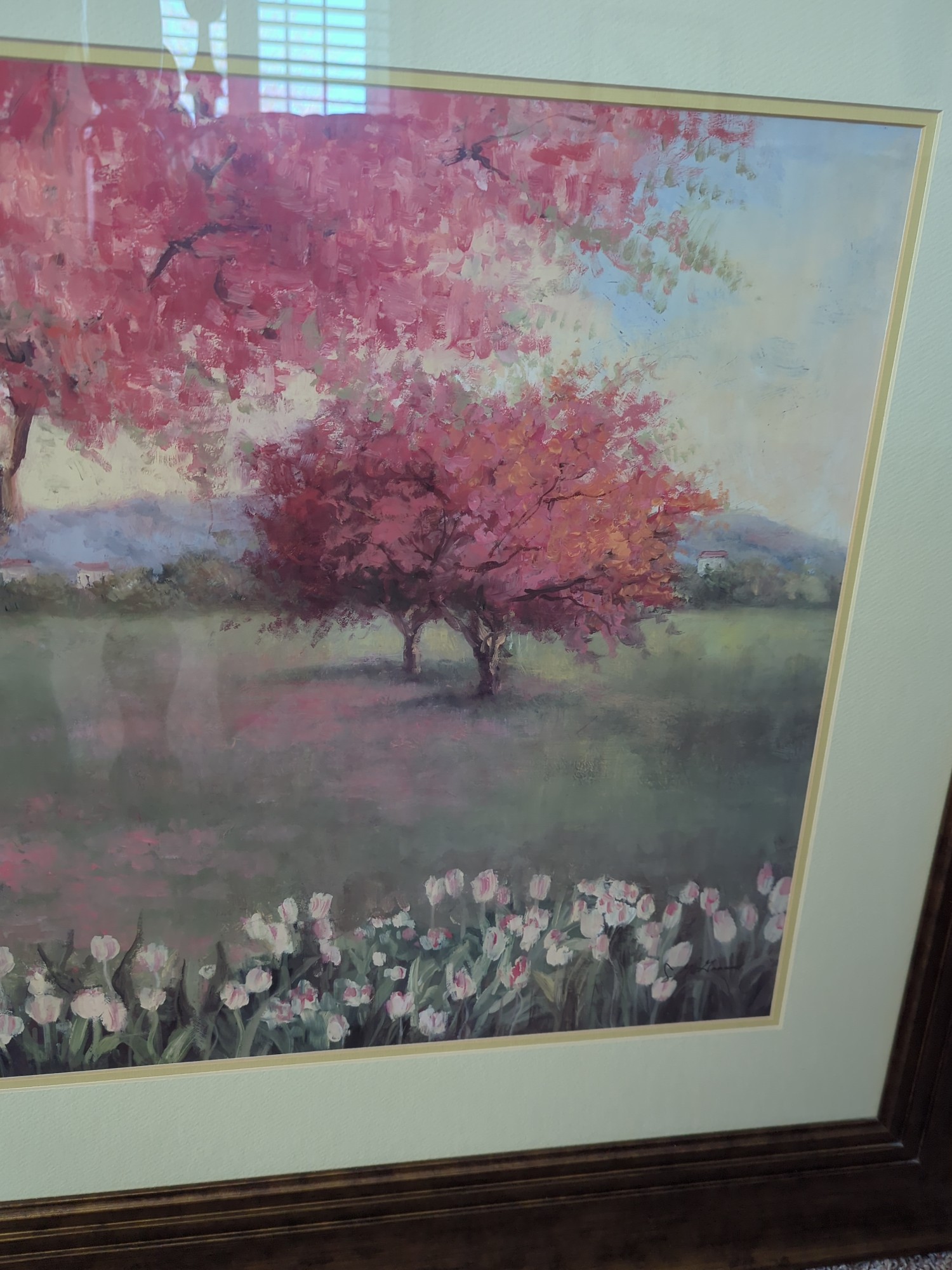 Lot image 5