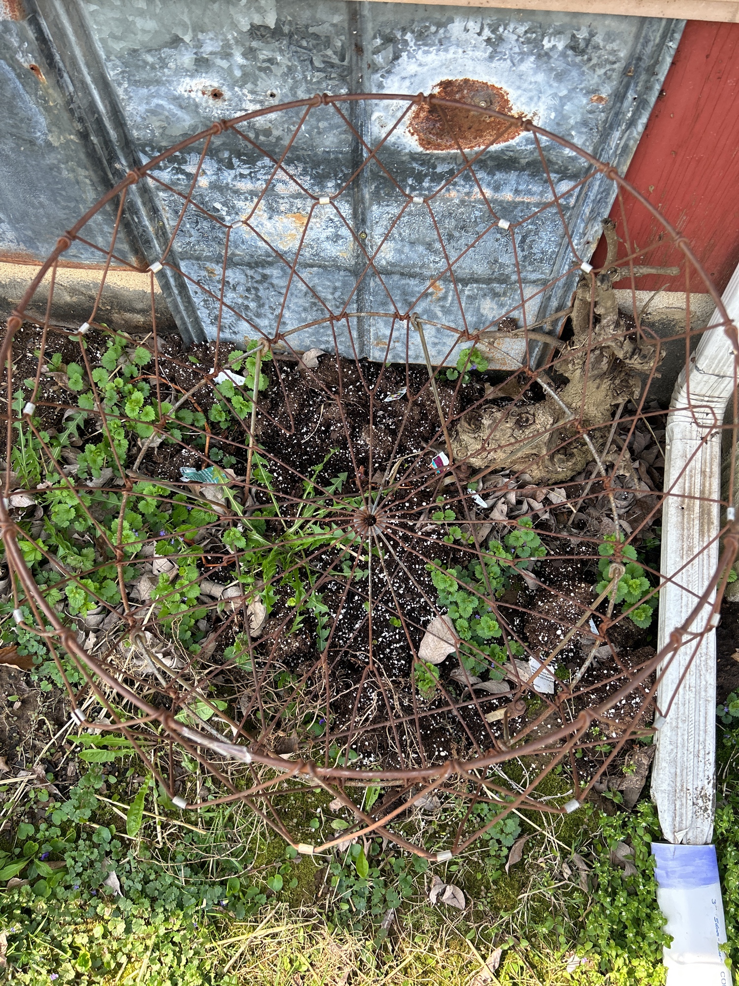 Lot image 9