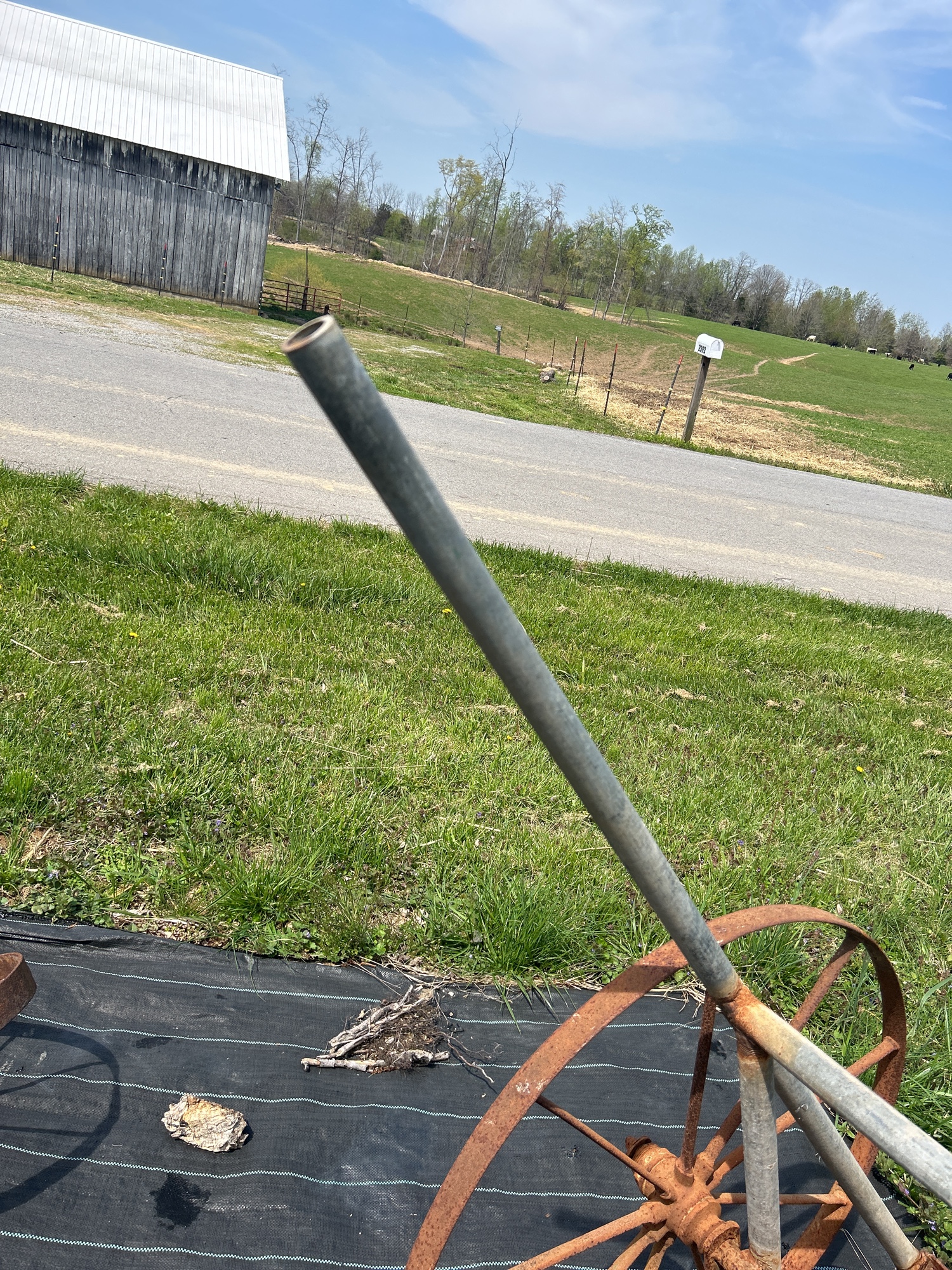 Lot image 6