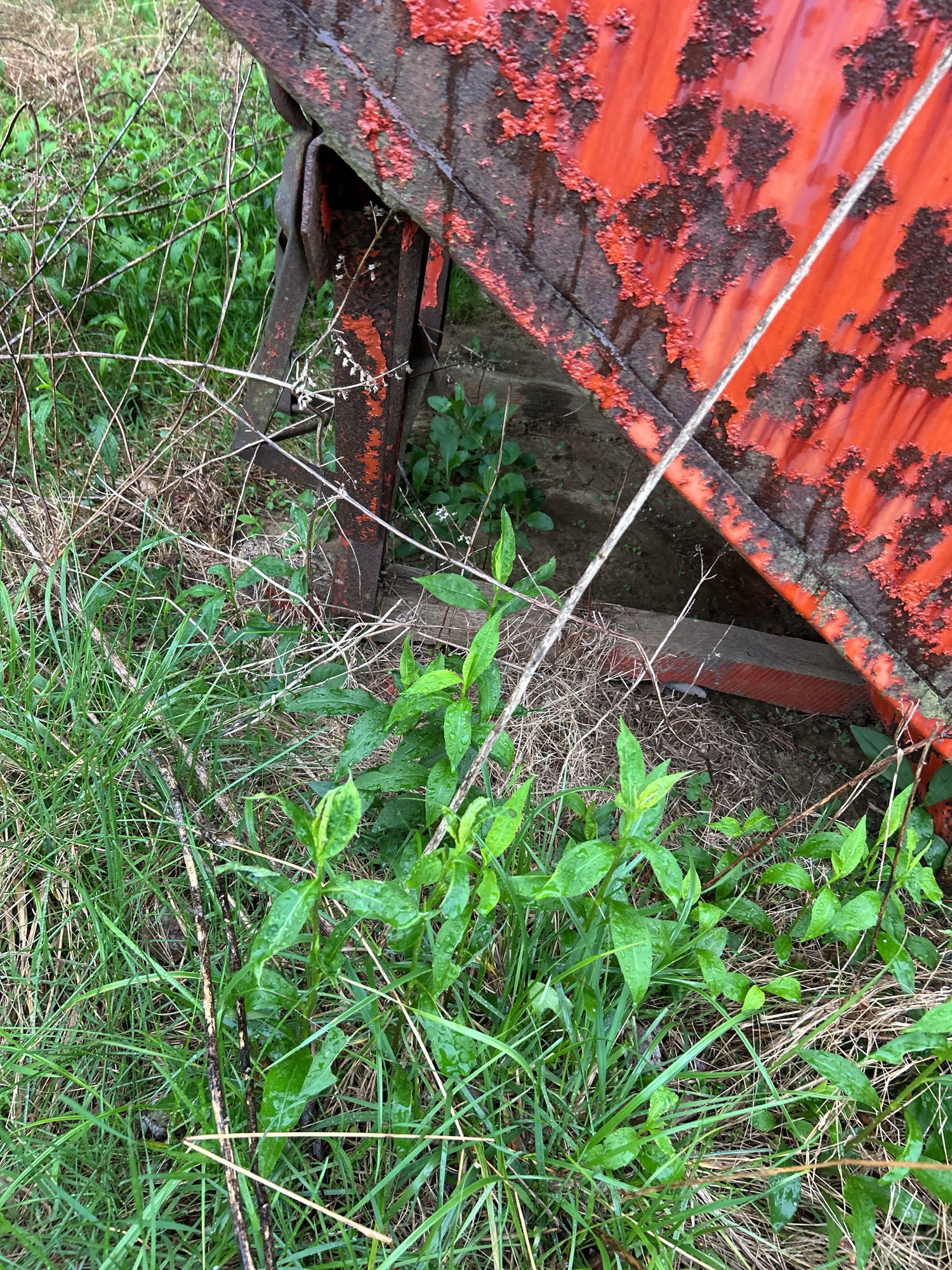 Lot image 4