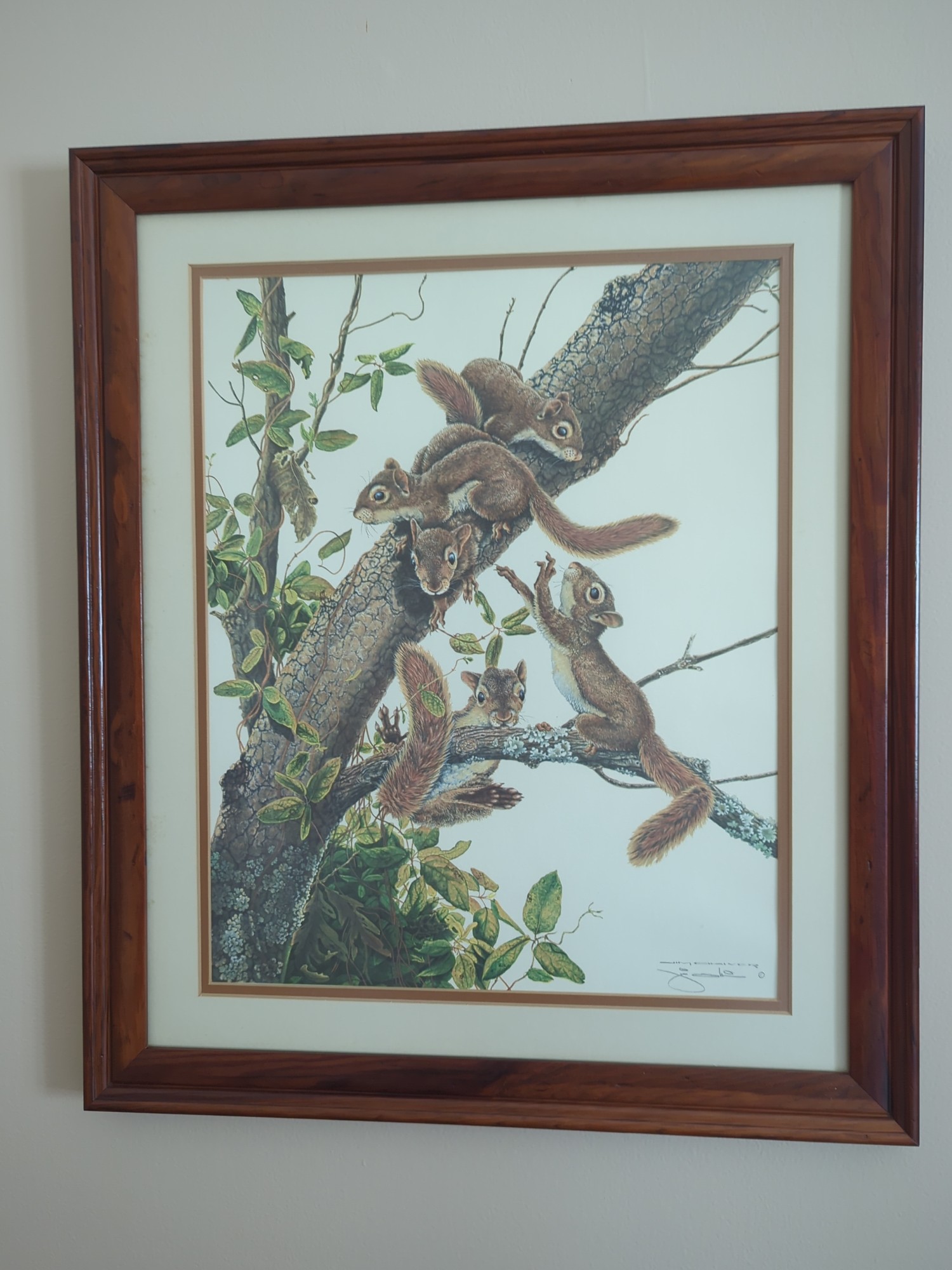 Lot image 7