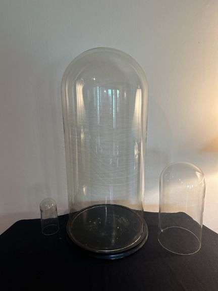 Grouping of Glass Display Domes image