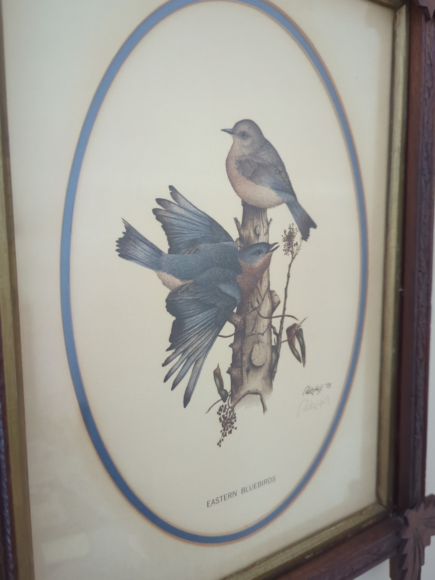 Lot image 6