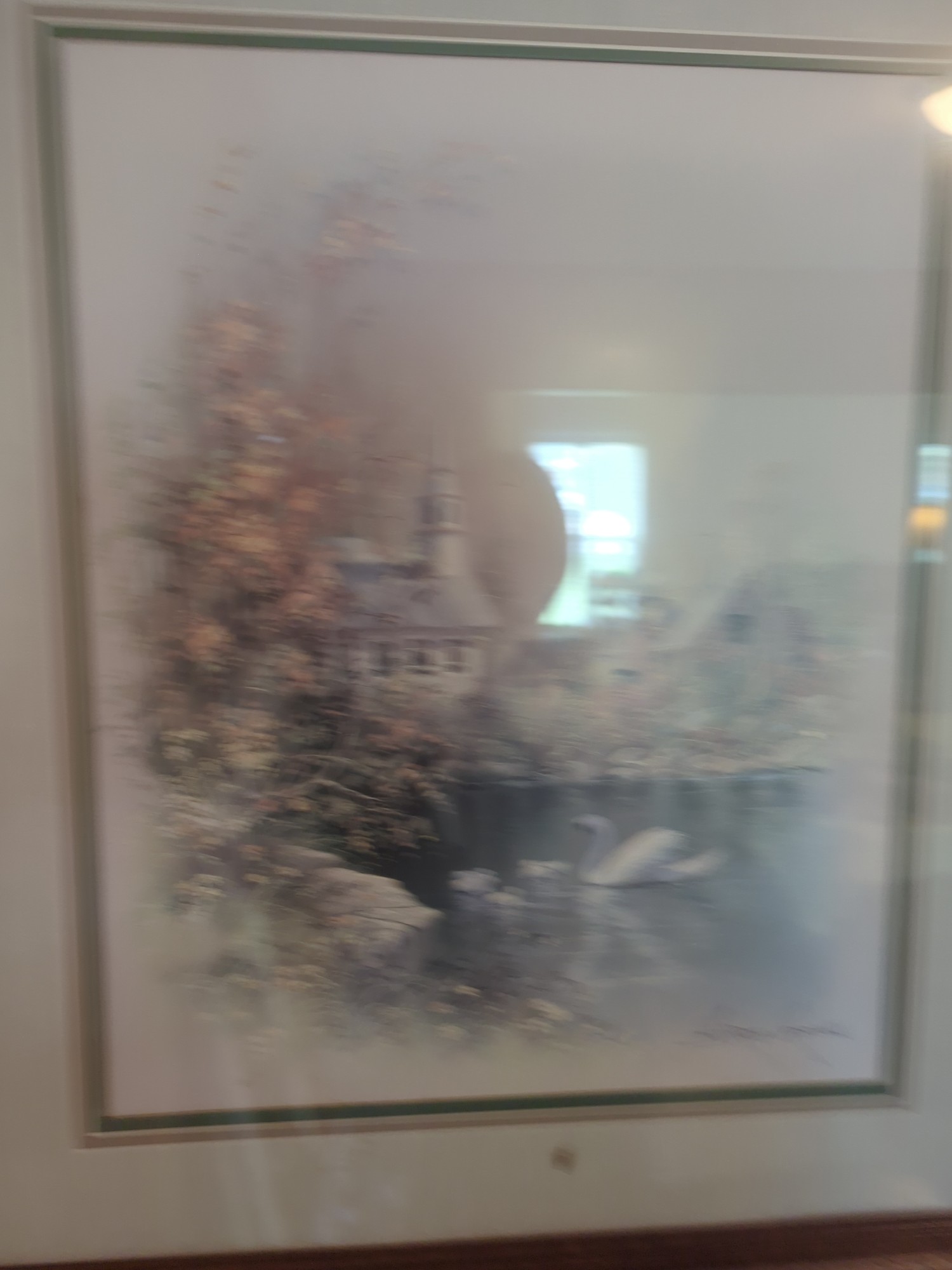 Lot image 5