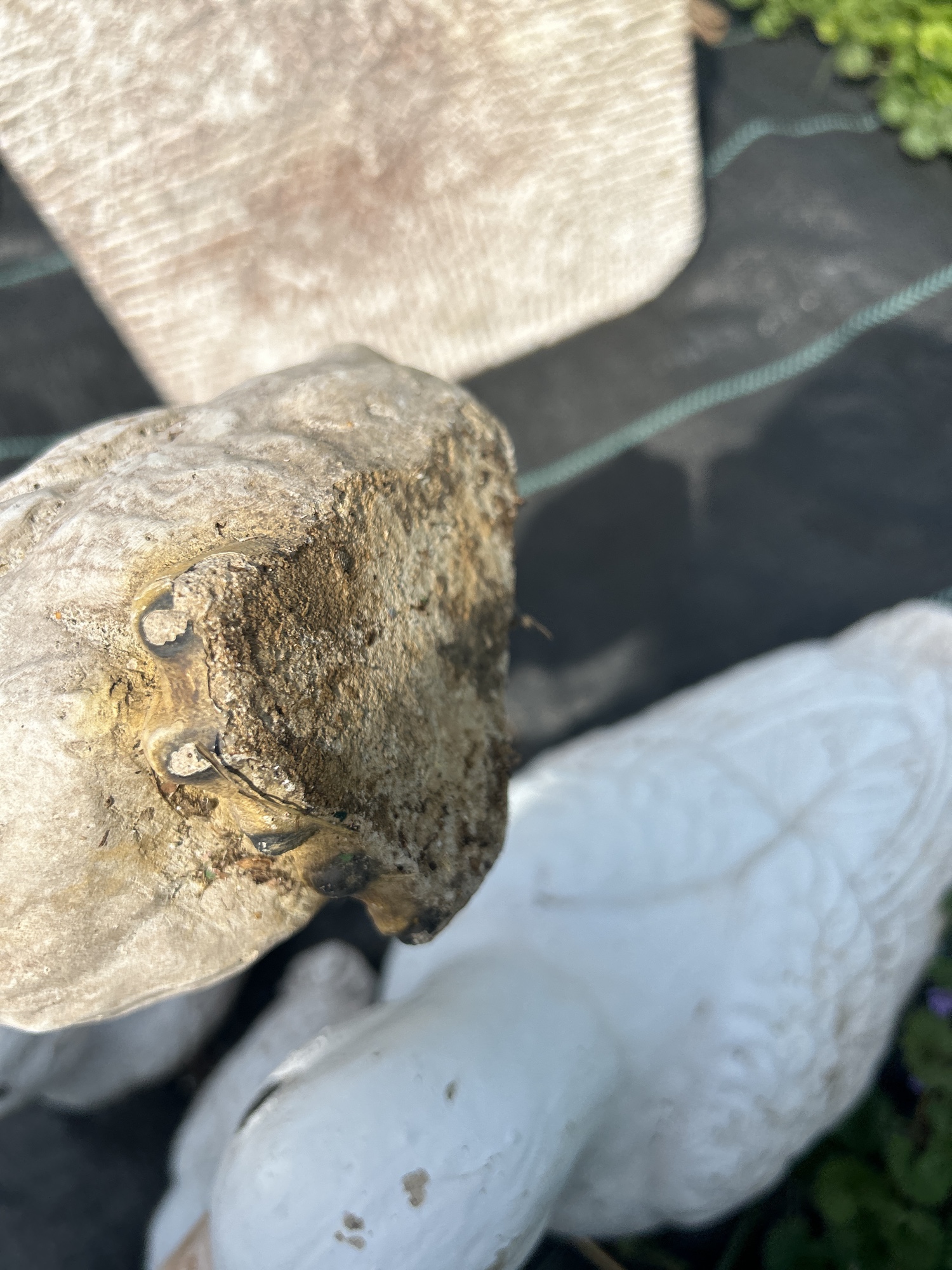 Lot image 4