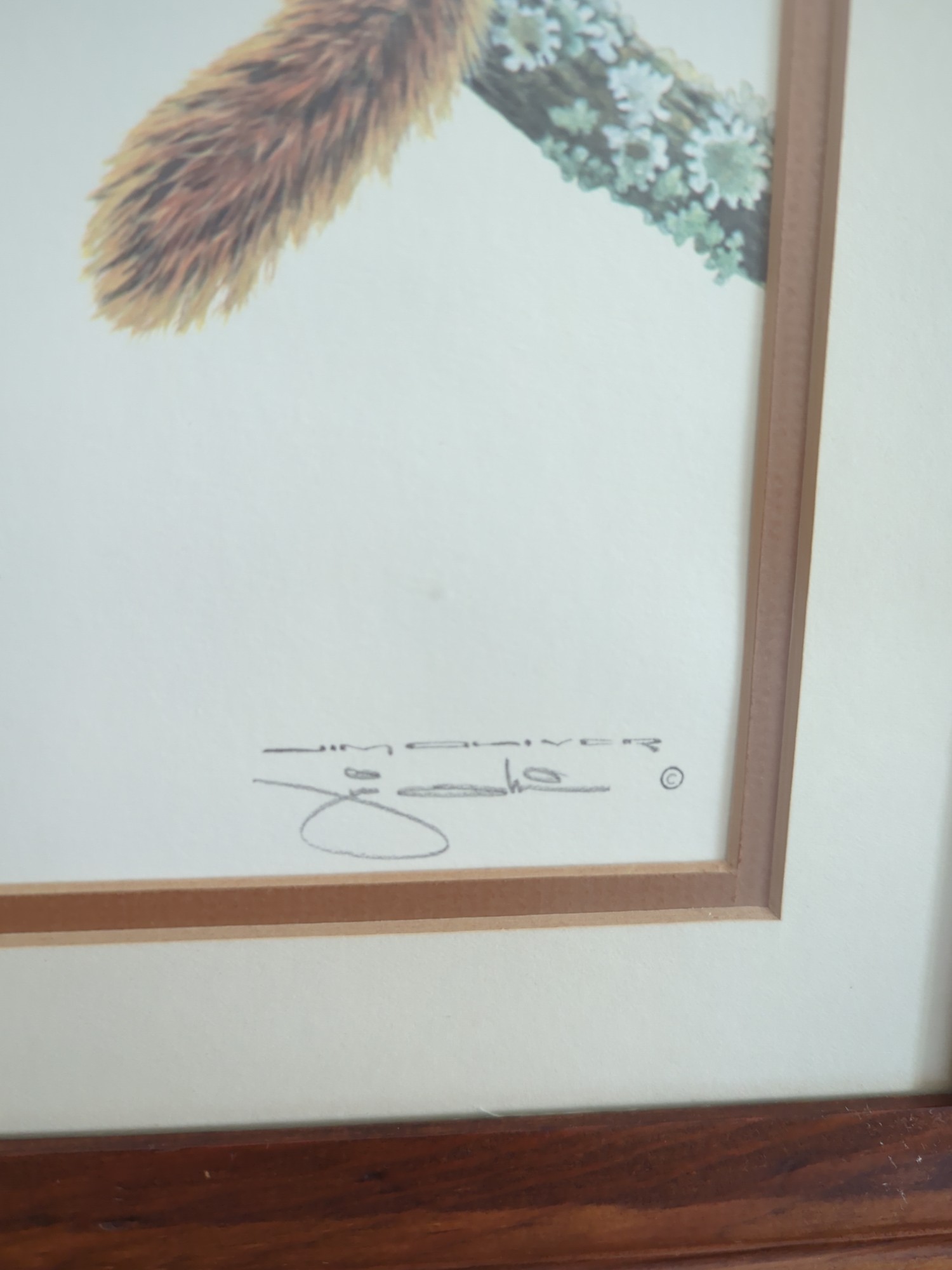 Lot image 5