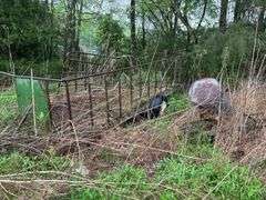 Farm Hay Wagon and Tobacco setter