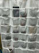 Variety of Costume Jewelry, Necklaces, Bracelets and Earrings