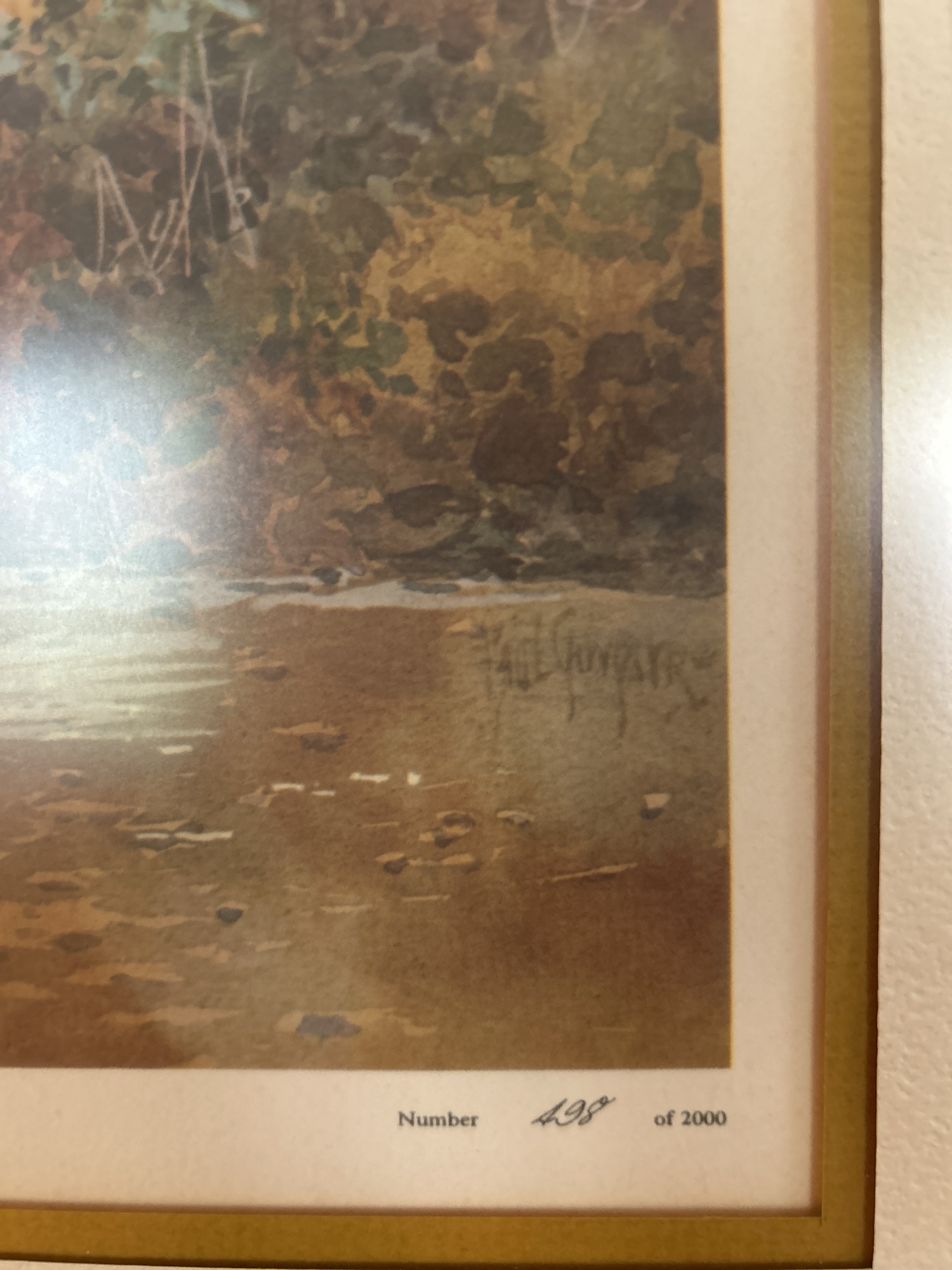 Lot image 6