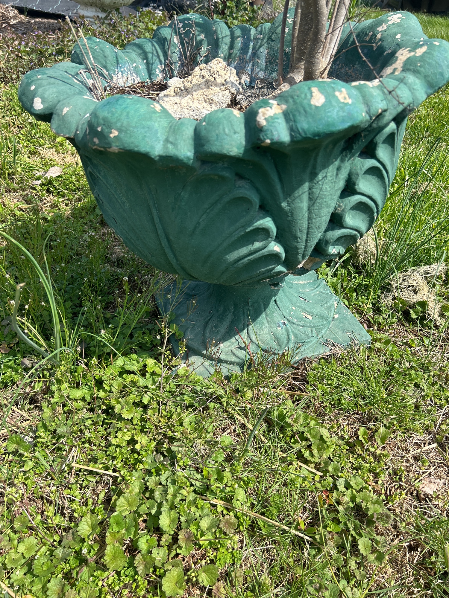 Lot image 5
