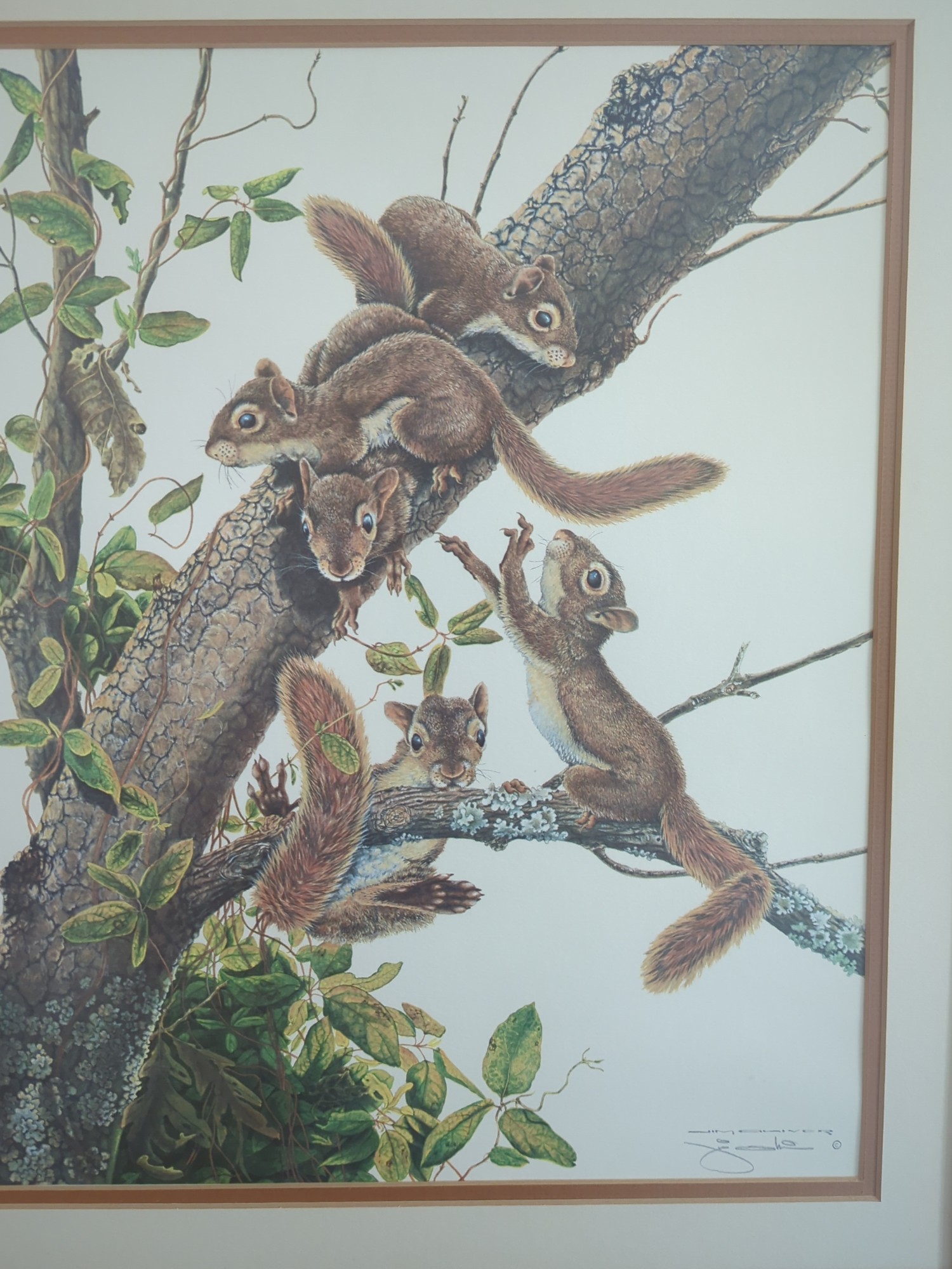 Lot image 3