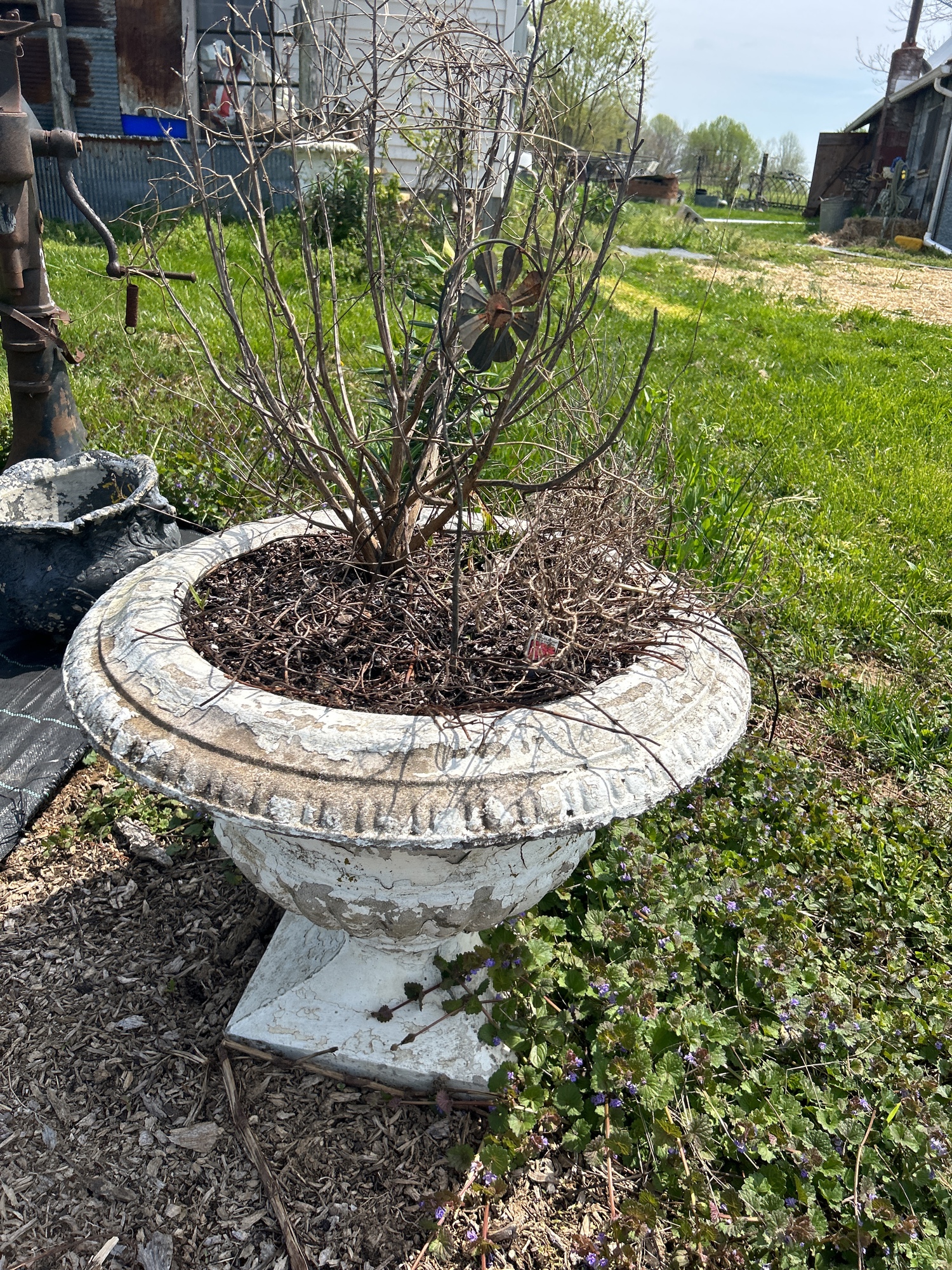Lot image 1