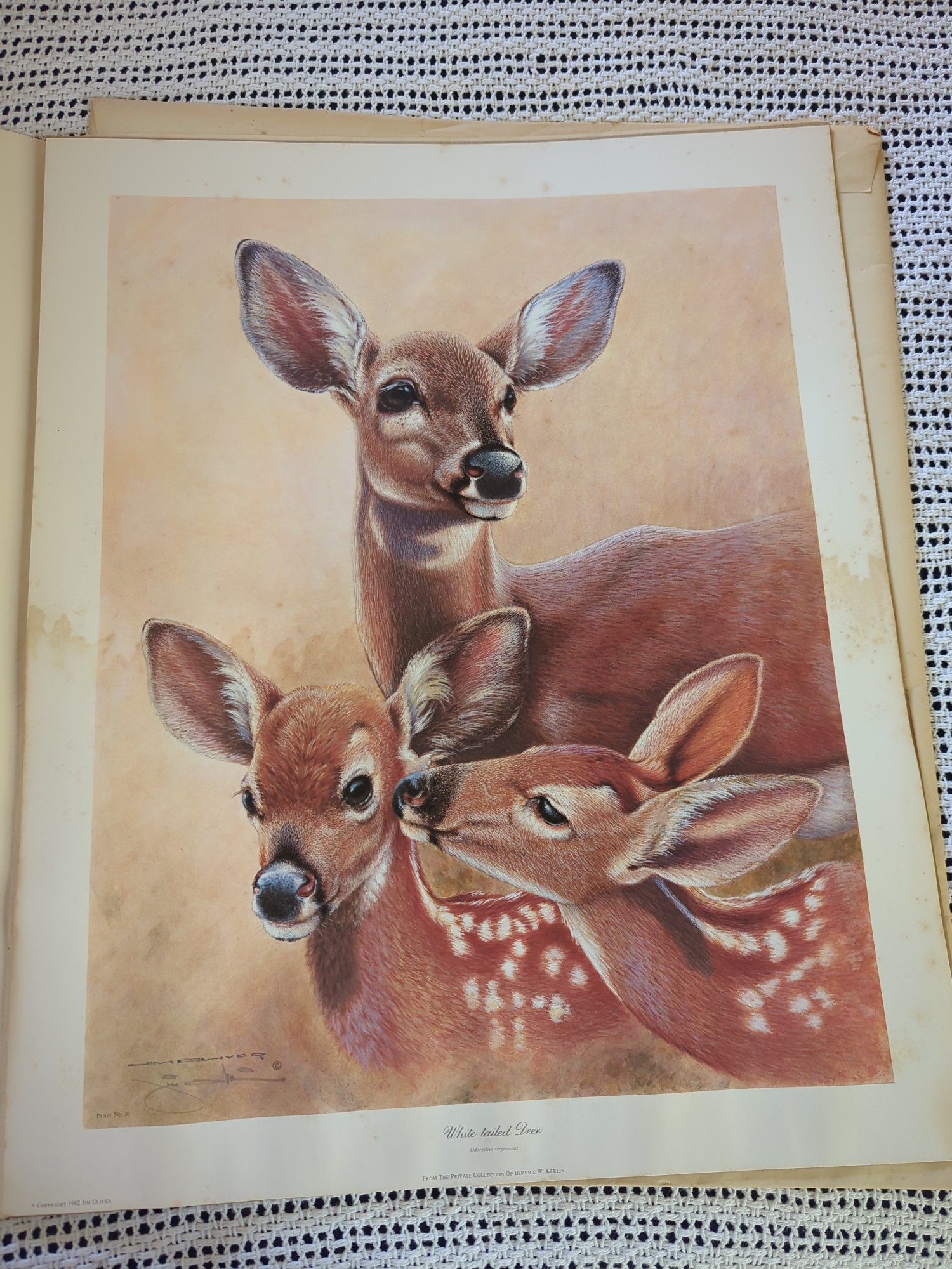 Lot image 4