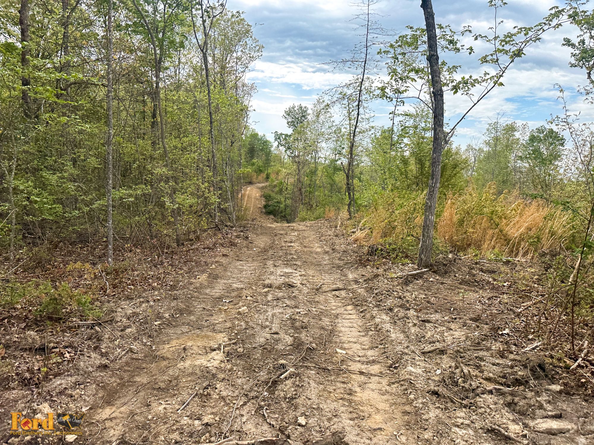 Lot image 6