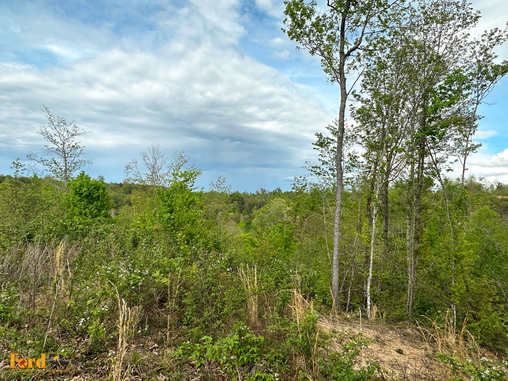 Lot image 5