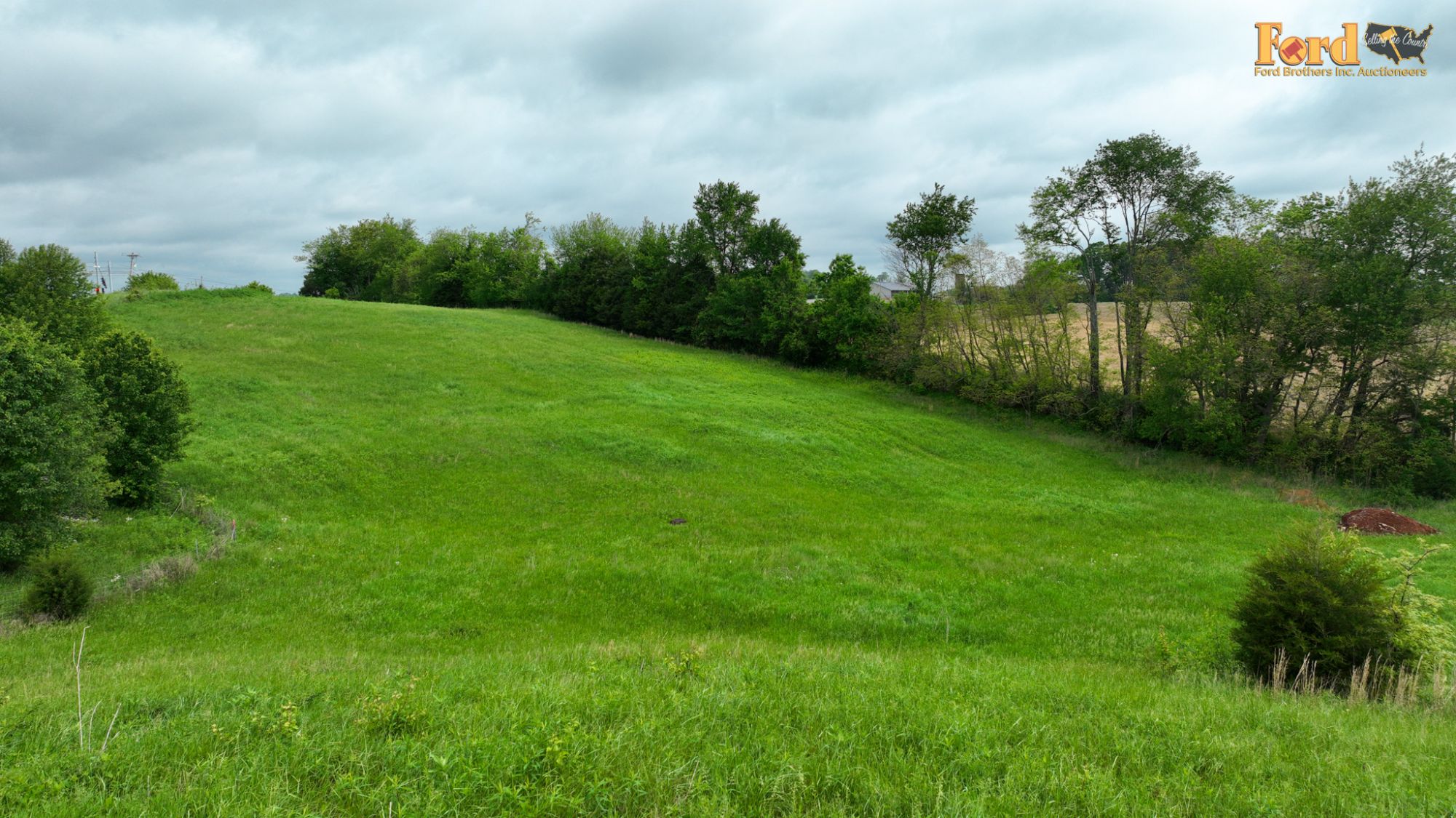 Lot image 12
