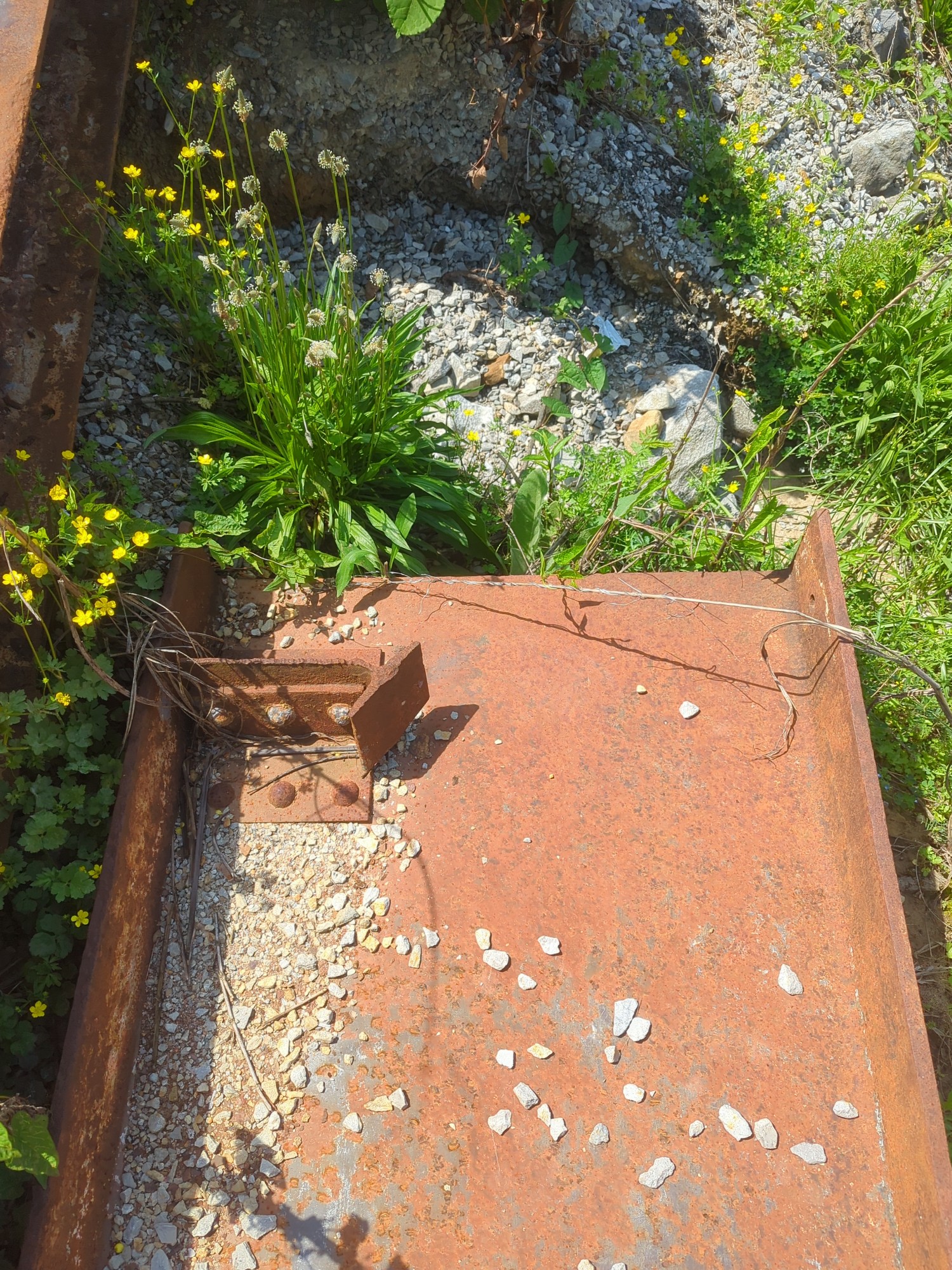 Lot image 10