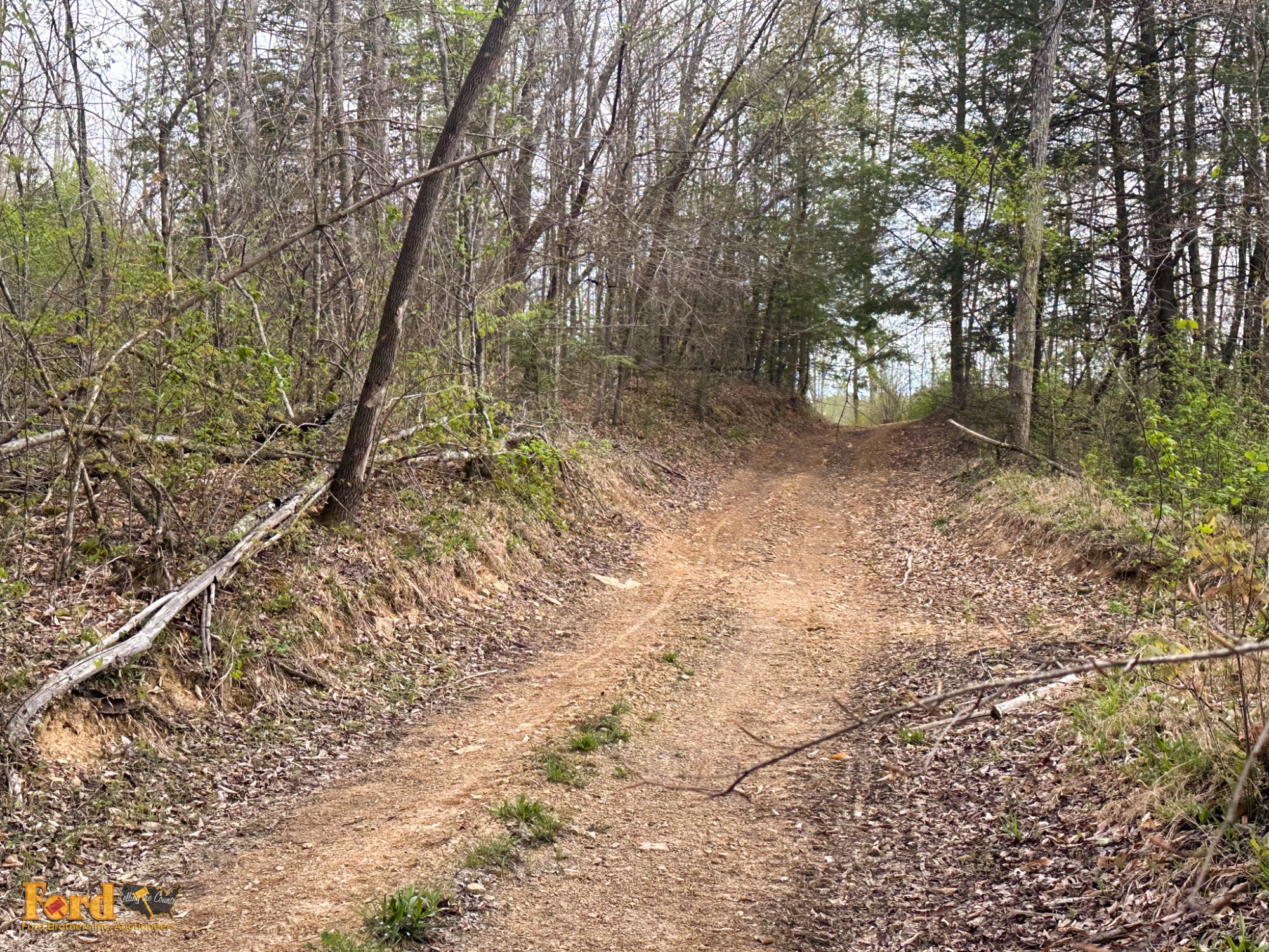 Lot image 7