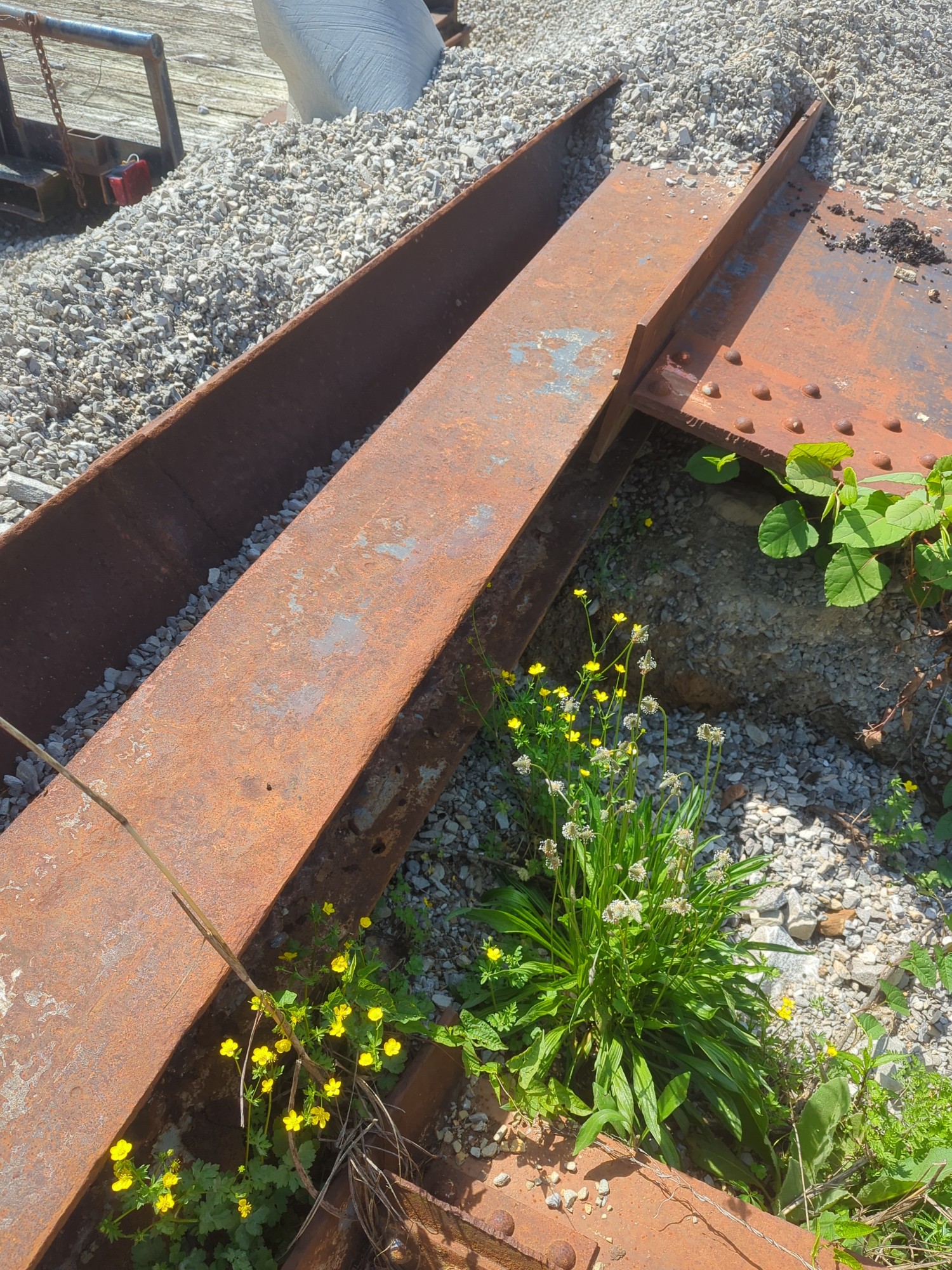 Lot image 11