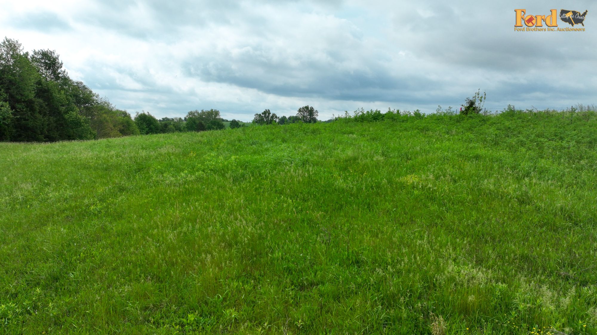 Lot image 21