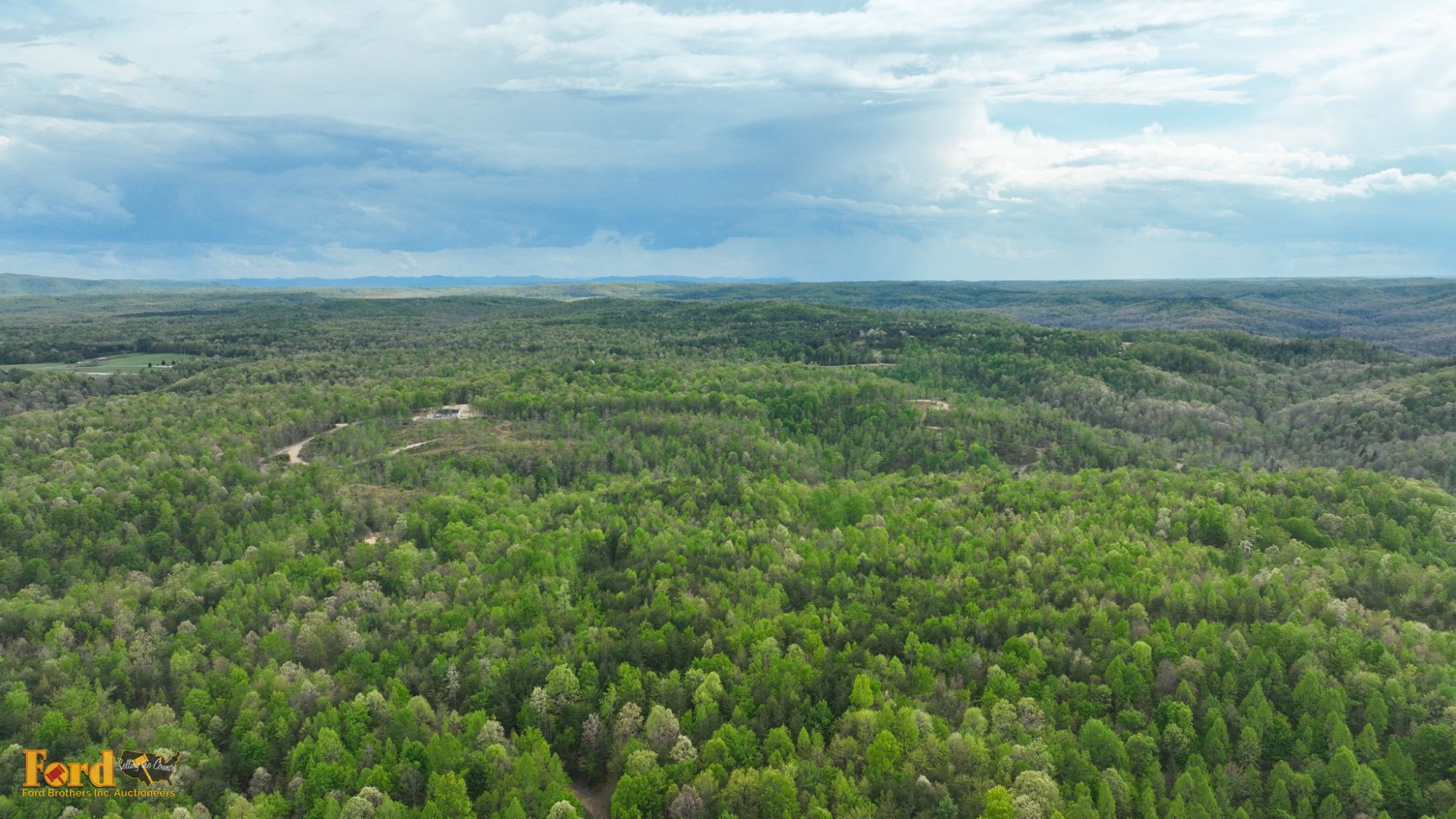 Lot image 11