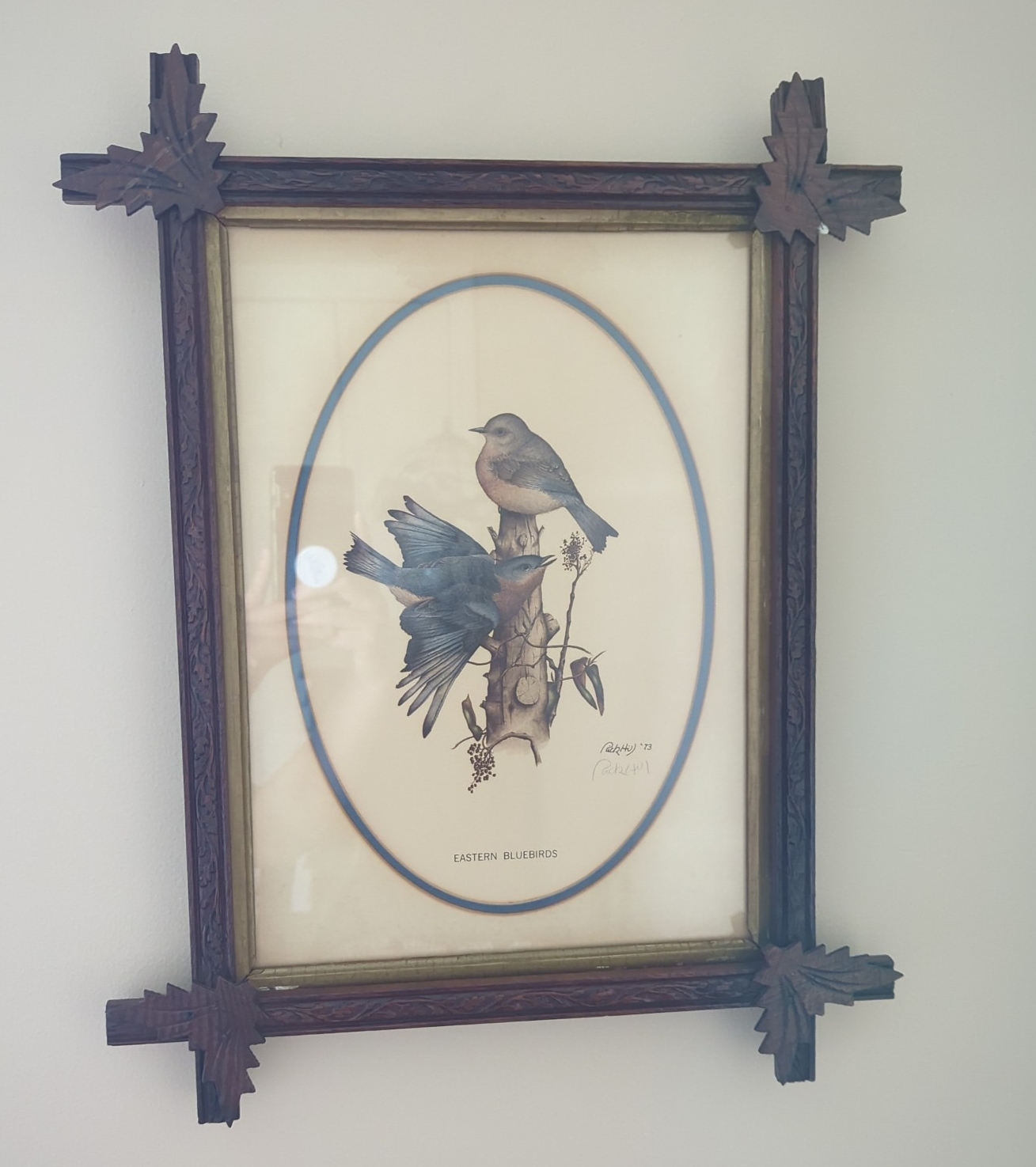 Lot image 1