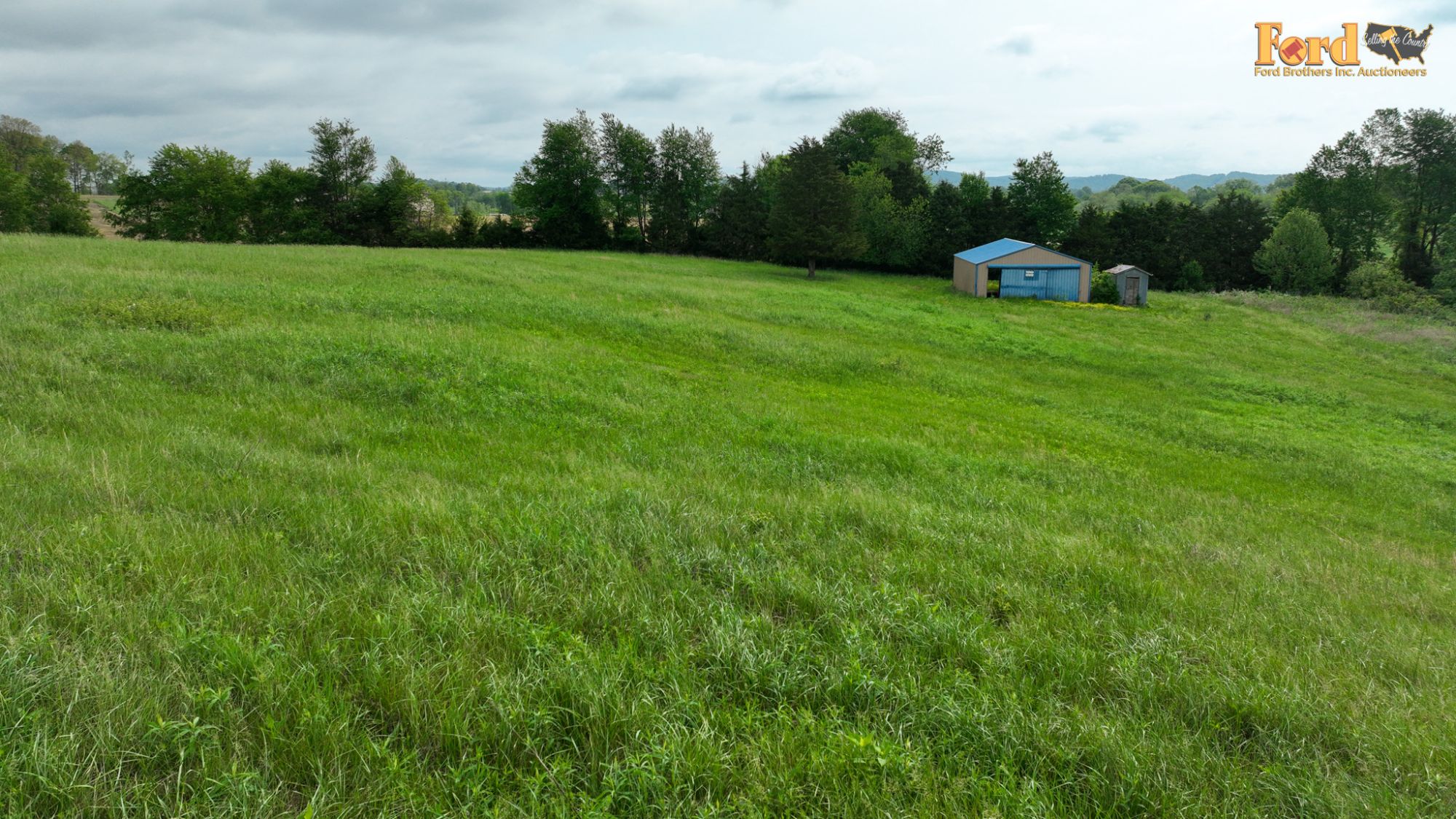 Lot image 59