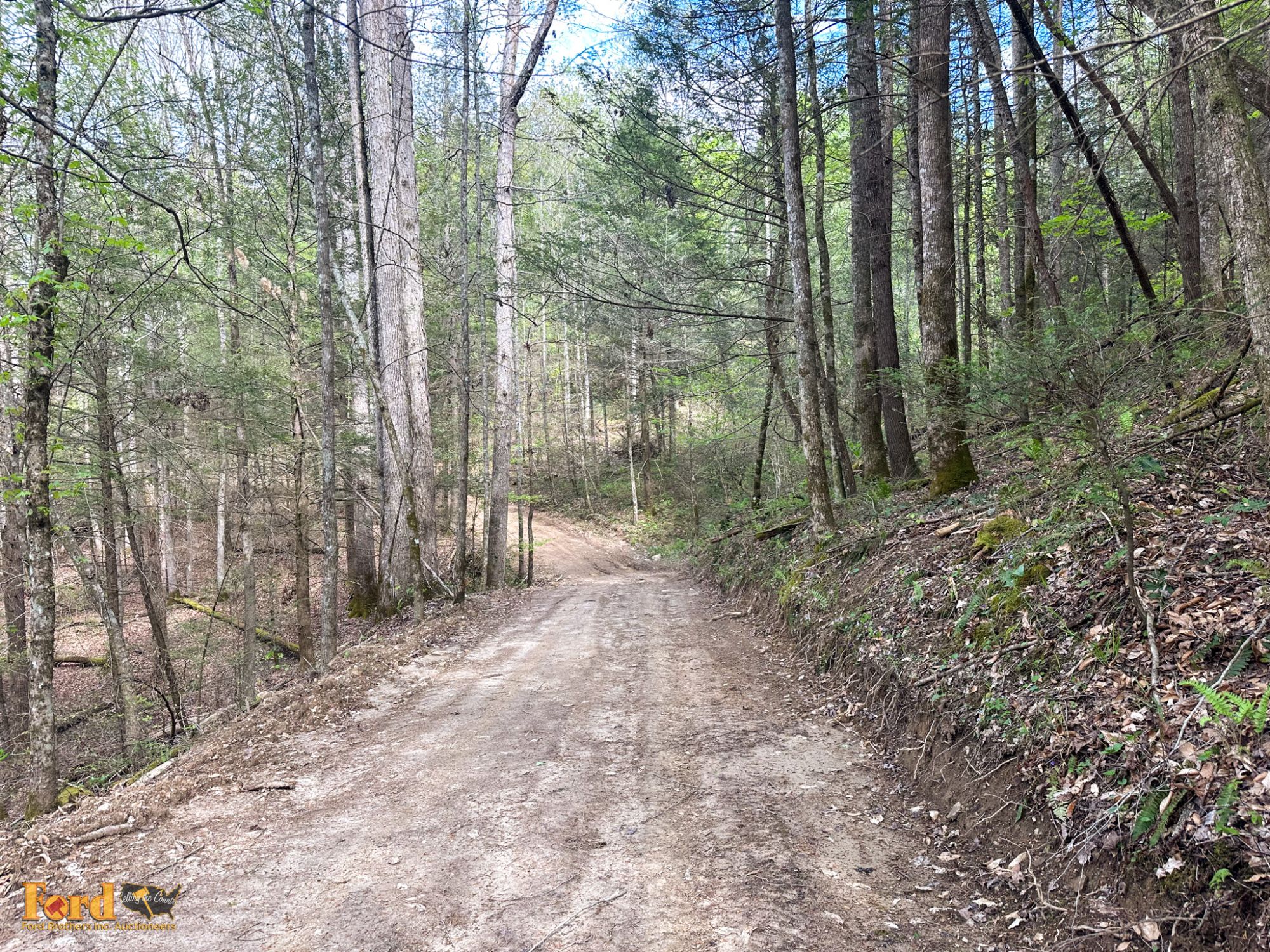 Lot image 4