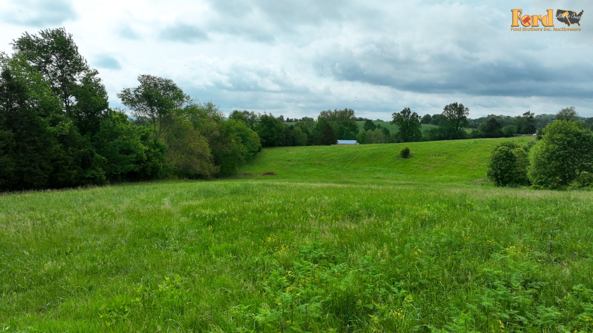 Lot image 18
