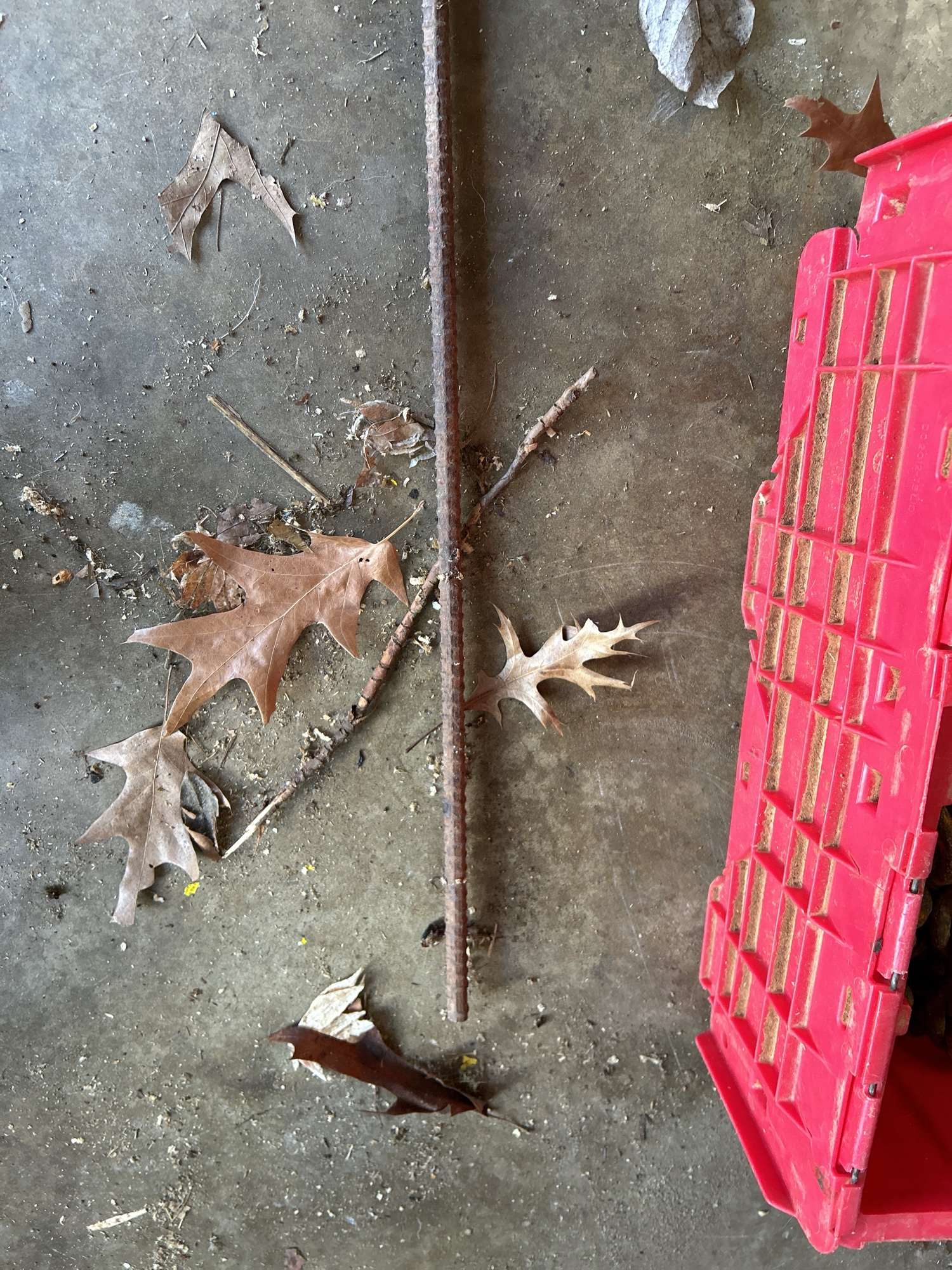 Lot image 4