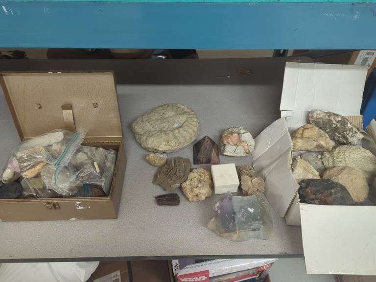 Collection of Various Rocks, Minerals, and Fossils image