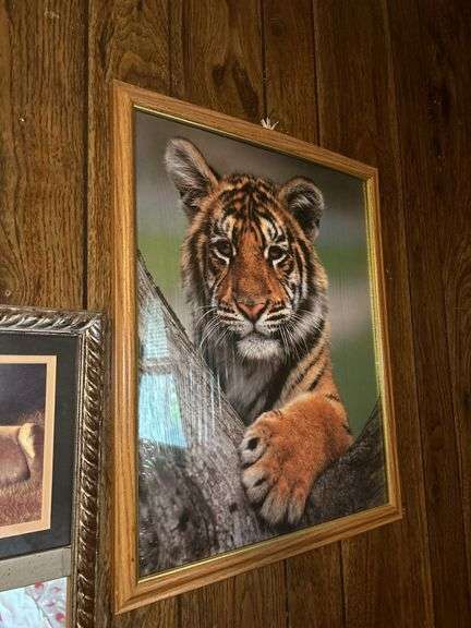 Collection of Framed Wildlife Prints and Mirror