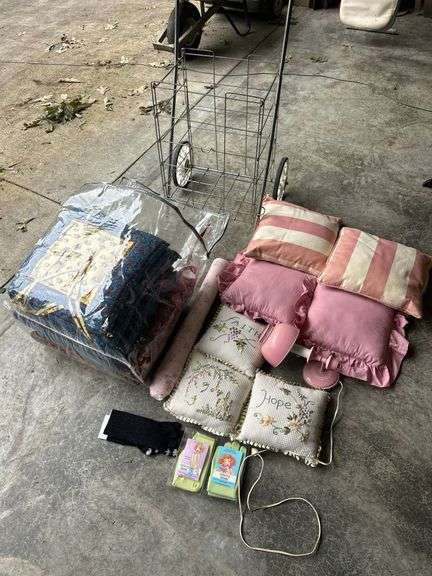 Mixed Household Lot - Pillows, Lamp, and More image