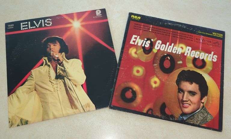 Elvis Presley Record Lot image