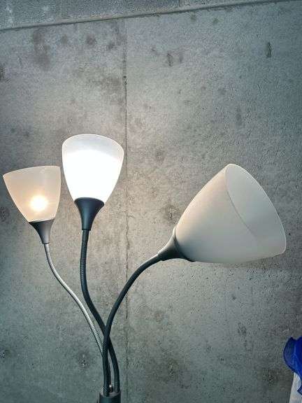 Modern Style Floor Lamp with Three Adjustable Lights image