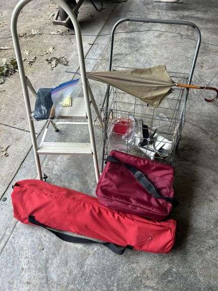 Household Variety Lot: Ladder, Umbrella, Bags, and Assorted Items image