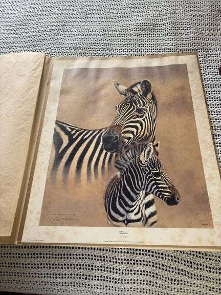 BR3- ZEBRAS PRINT BY JIM OLIVER image