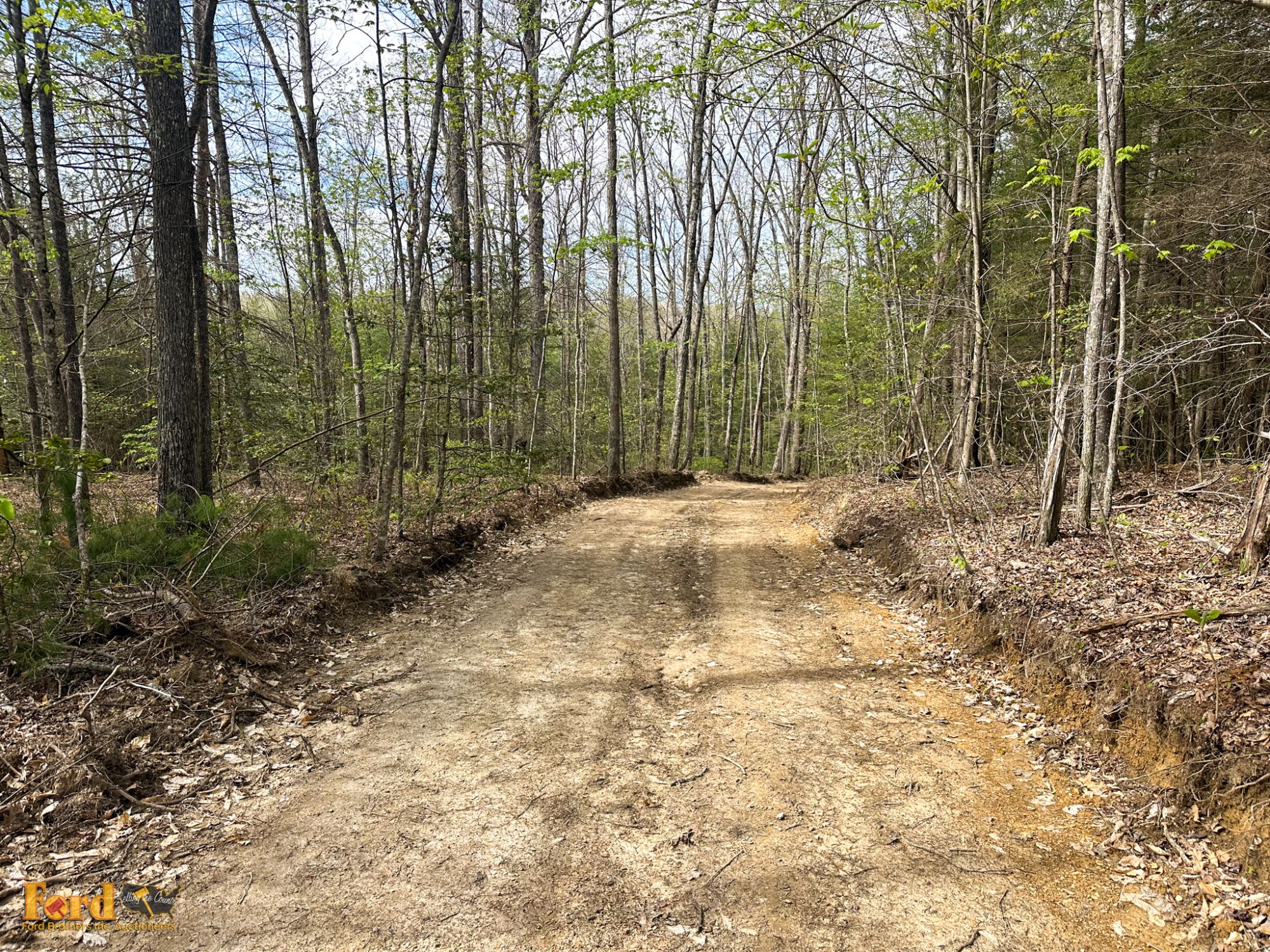 Lot image 5