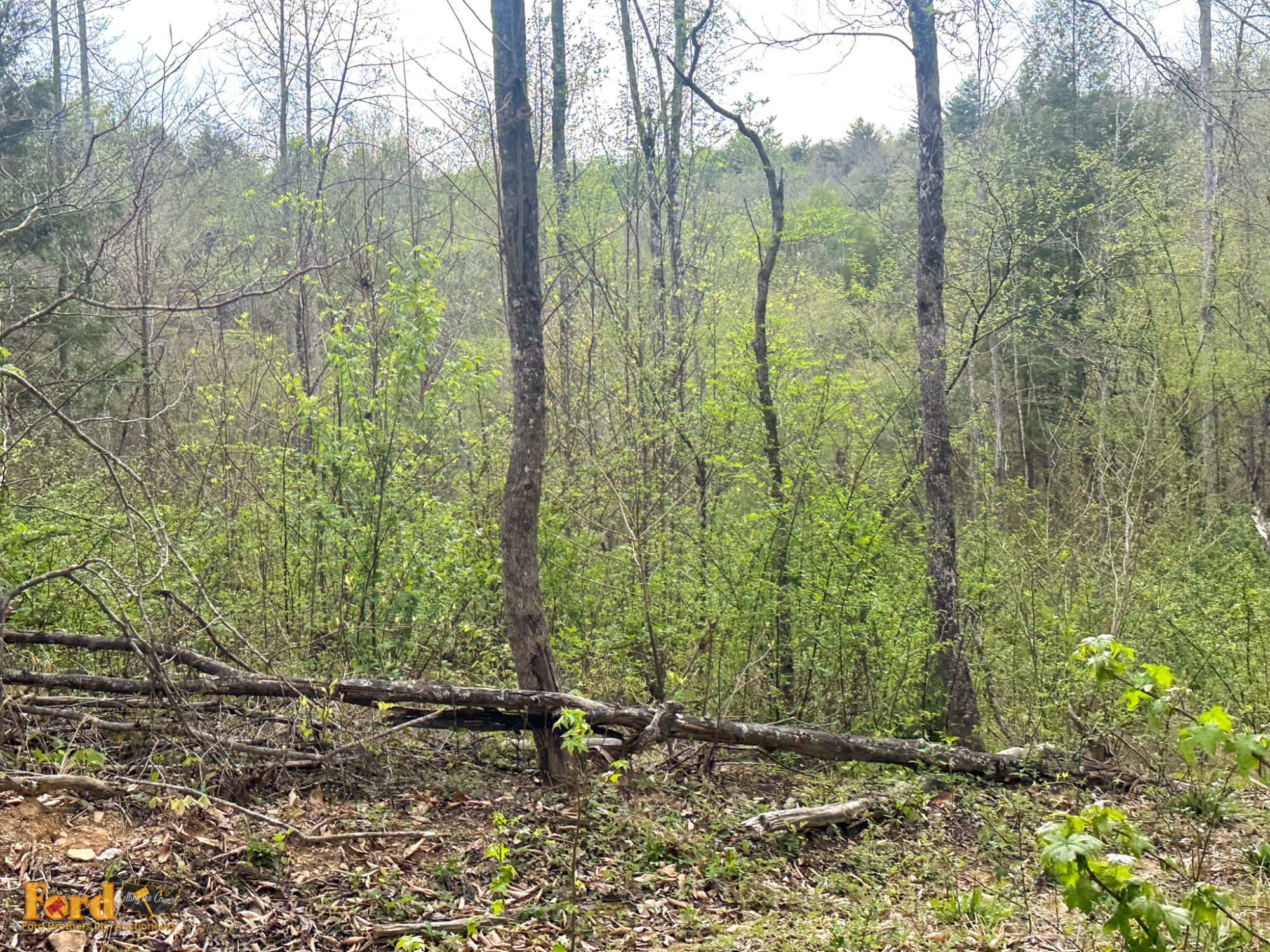 Lot image 6