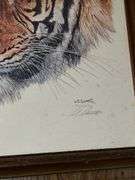 Collection of Framed Wildlife Prints and Mirror